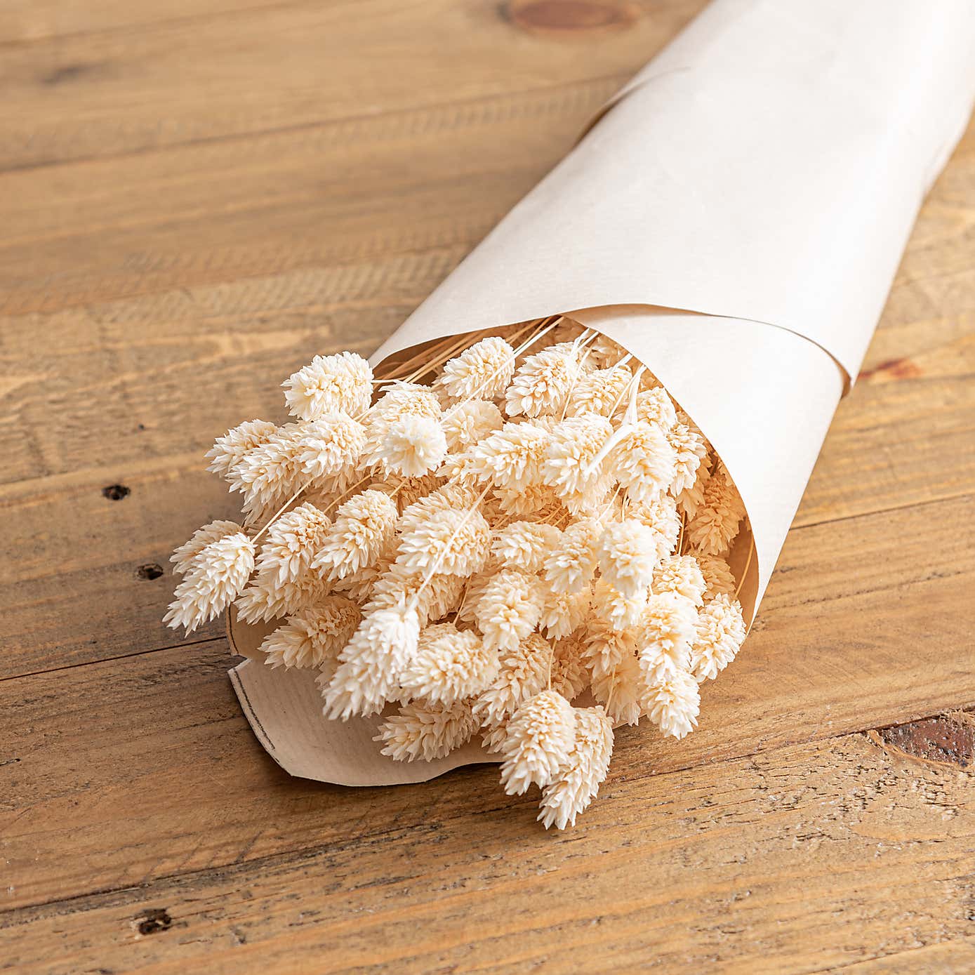Dried Phalaris Bouquet
