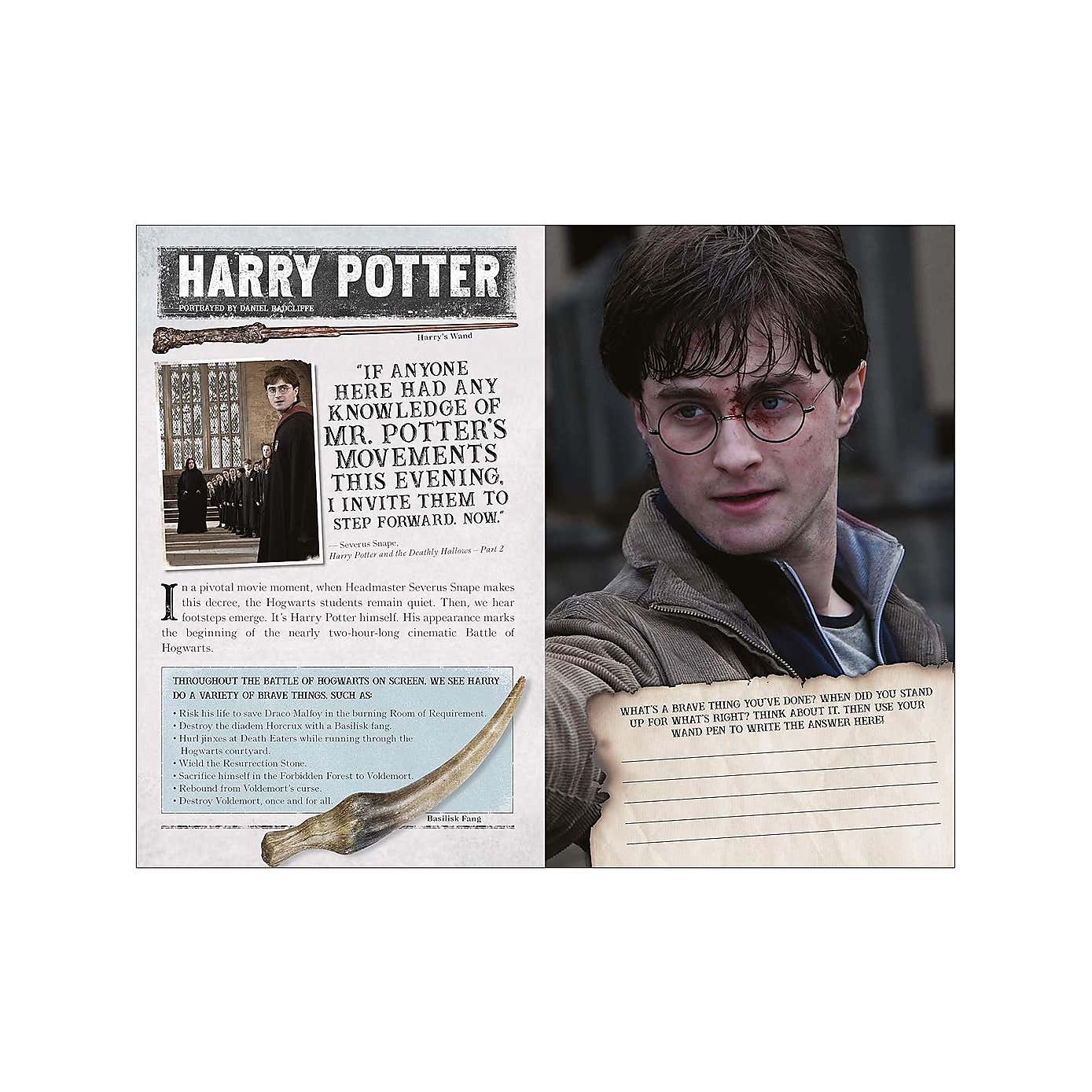 Harry Potter Battle of Hogwarts Book