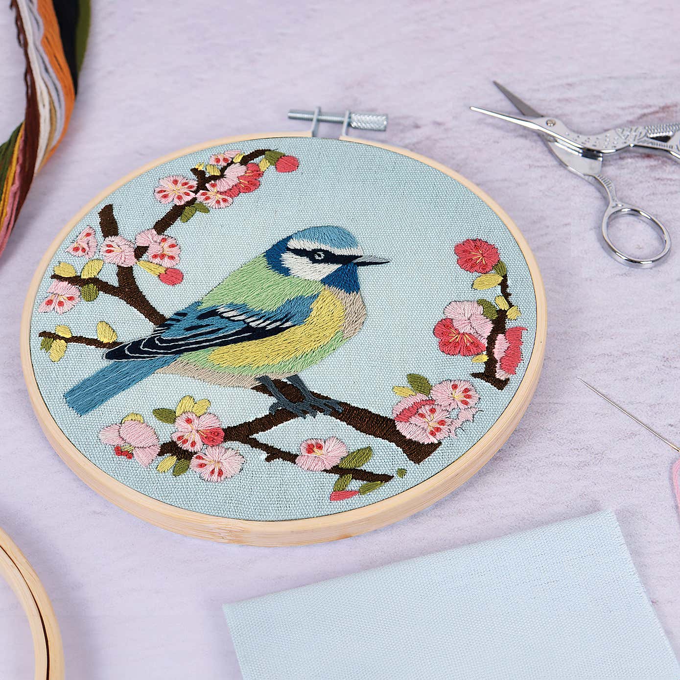 Embroidery Kit Bird Blossom