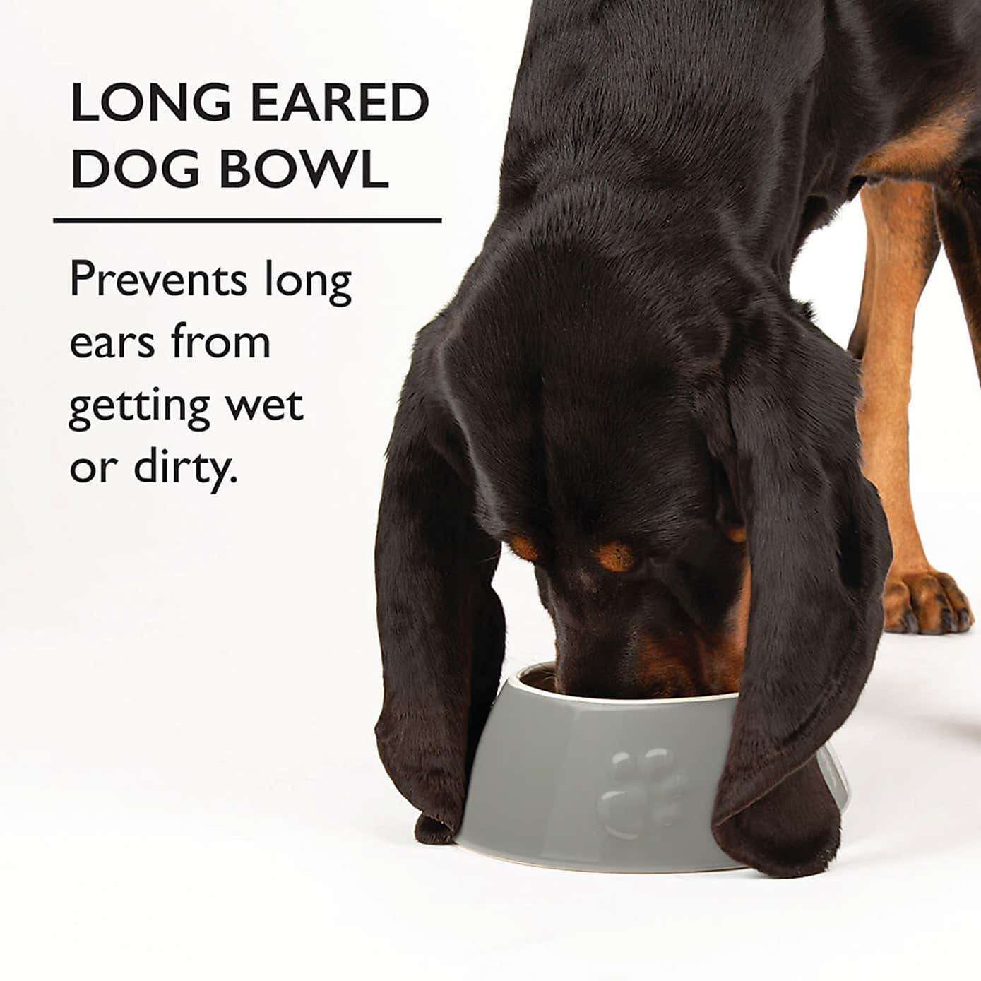 Scruffs Set of 2 Long Eared Dog Bowls