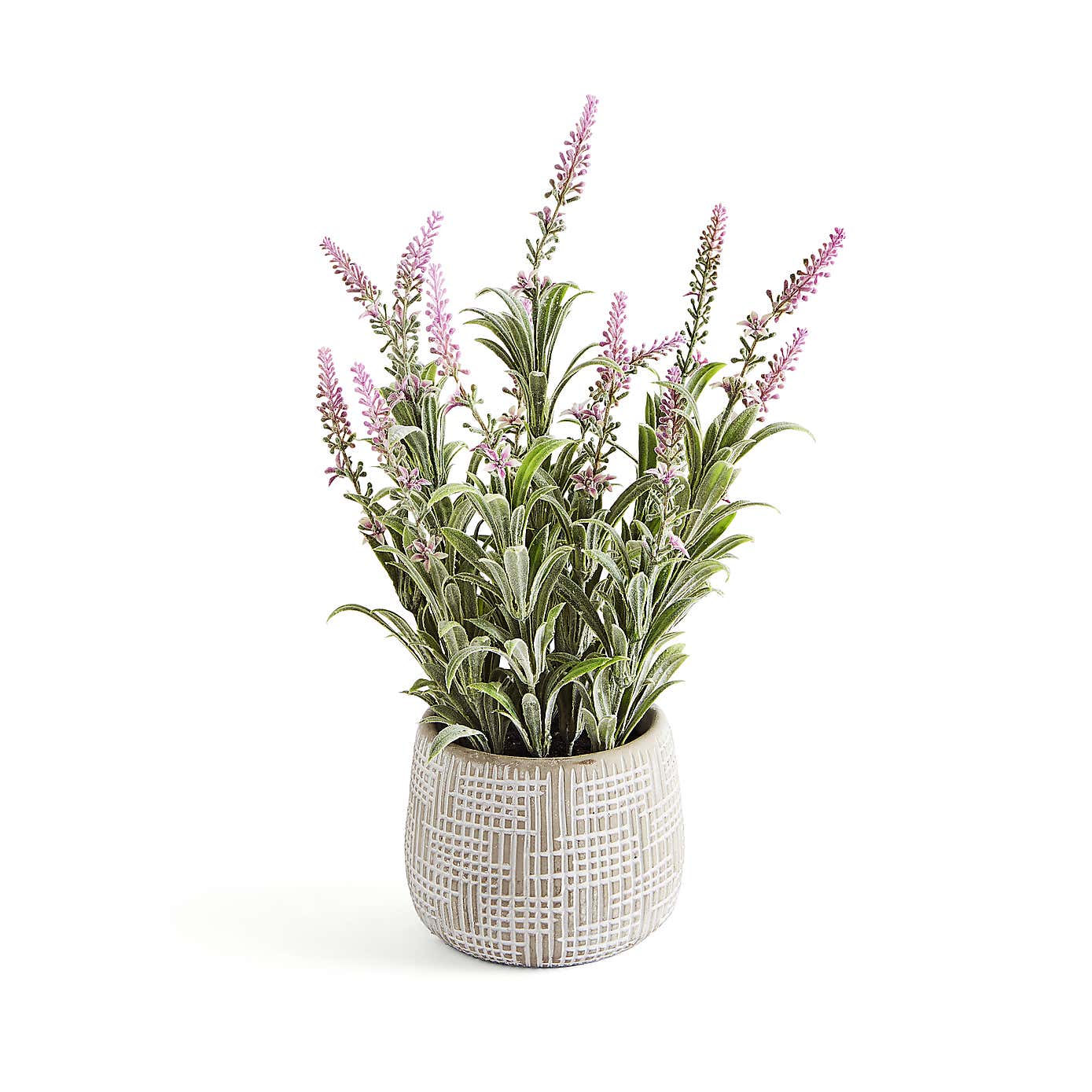 Artificial Salvia in Grey Cement Pot