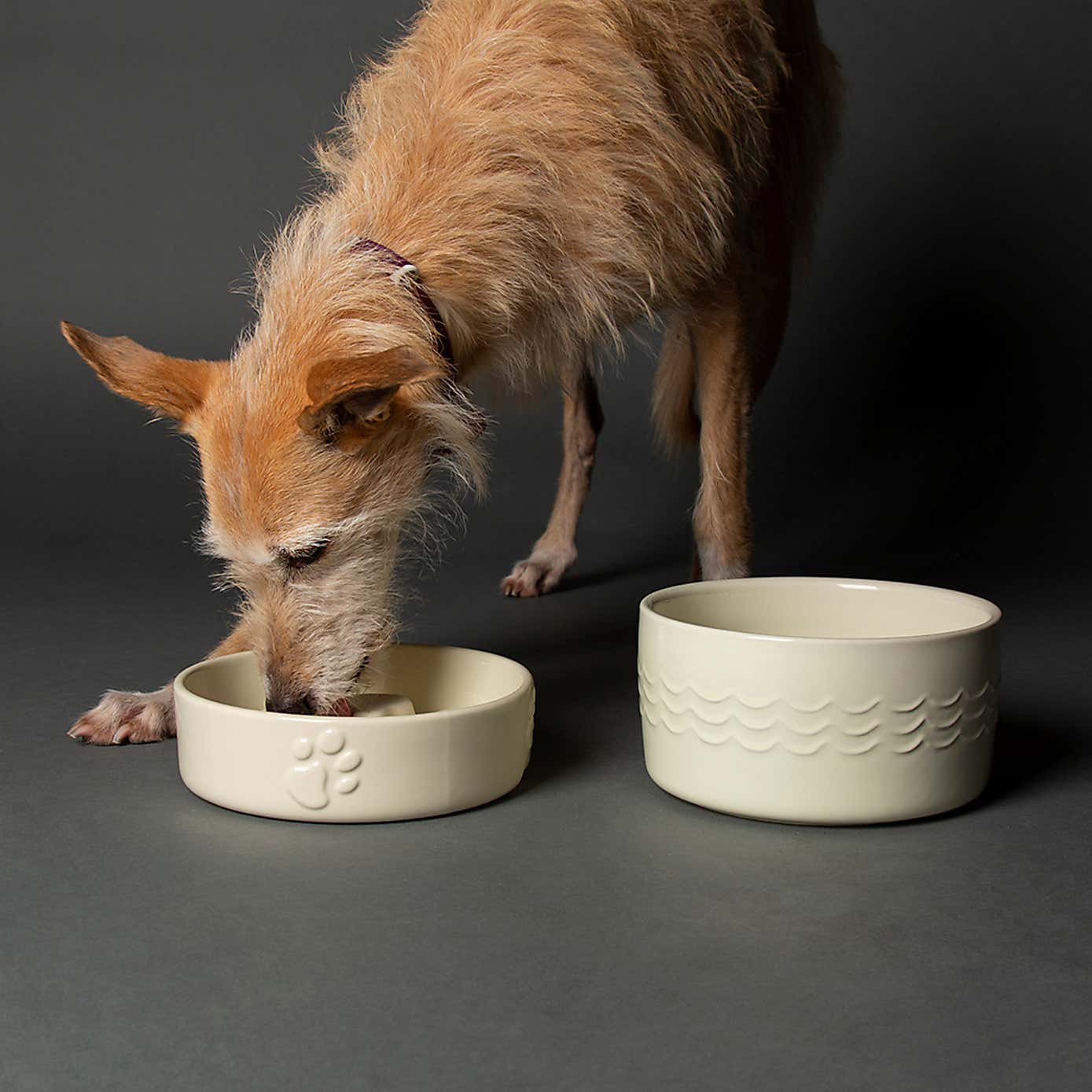 Scruffs Icon Slow Feeder and Drink Bowl Set