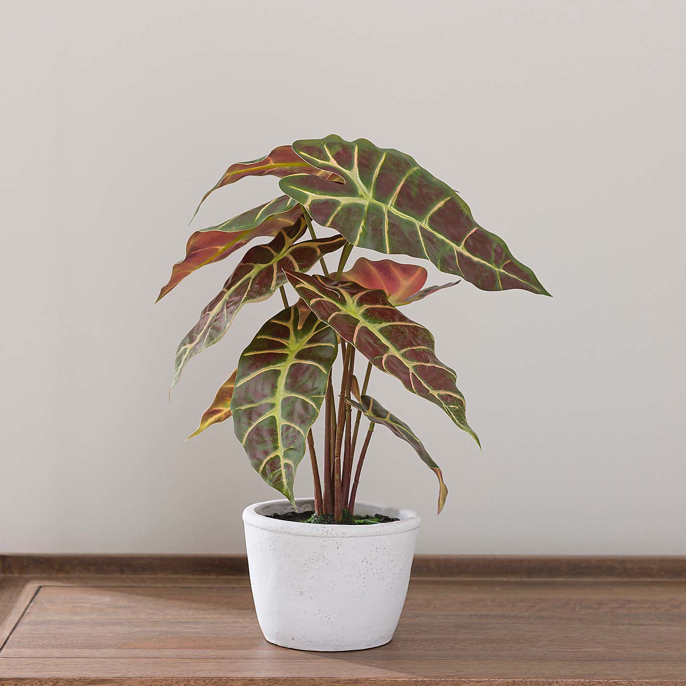 Artificial Alocasia Plant in White Cement Plant Pot