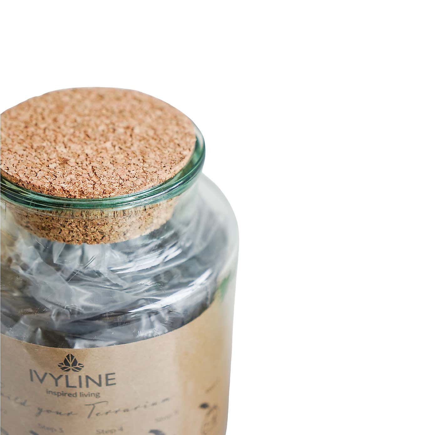 Bottle Medium Terrarium Diy Kit