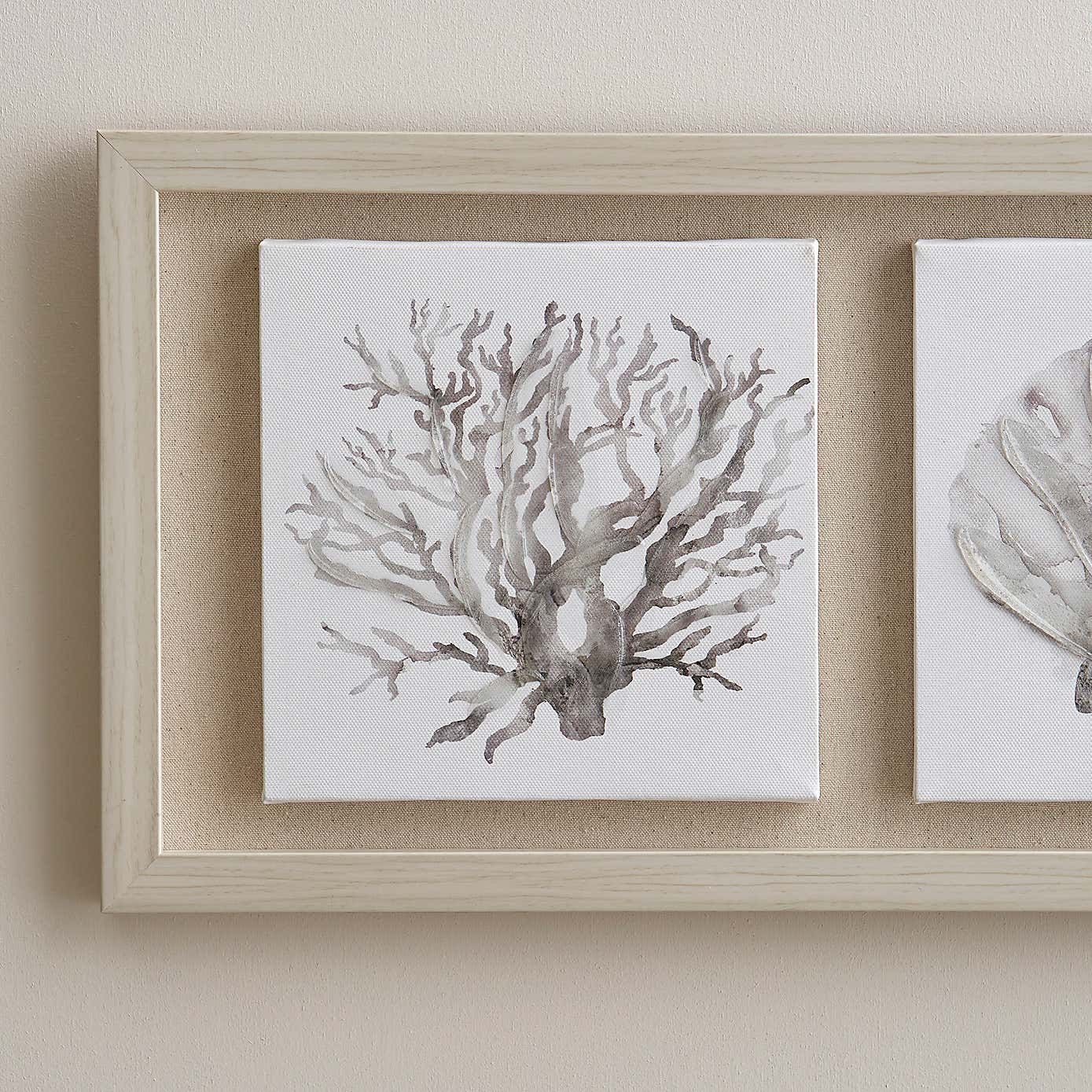 Coastal Corals Boxed Canvas