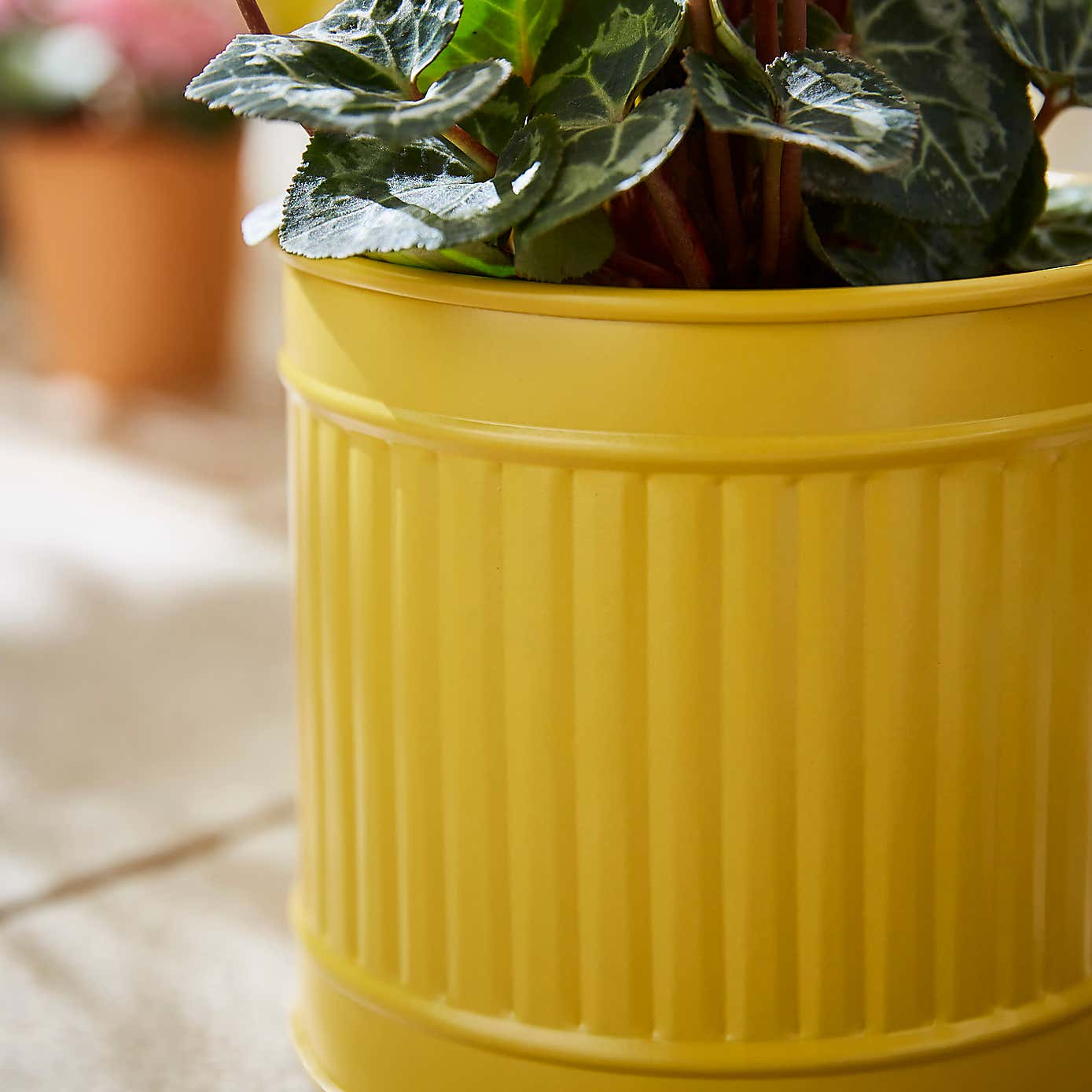 Small Bright Metal Plant Pot
