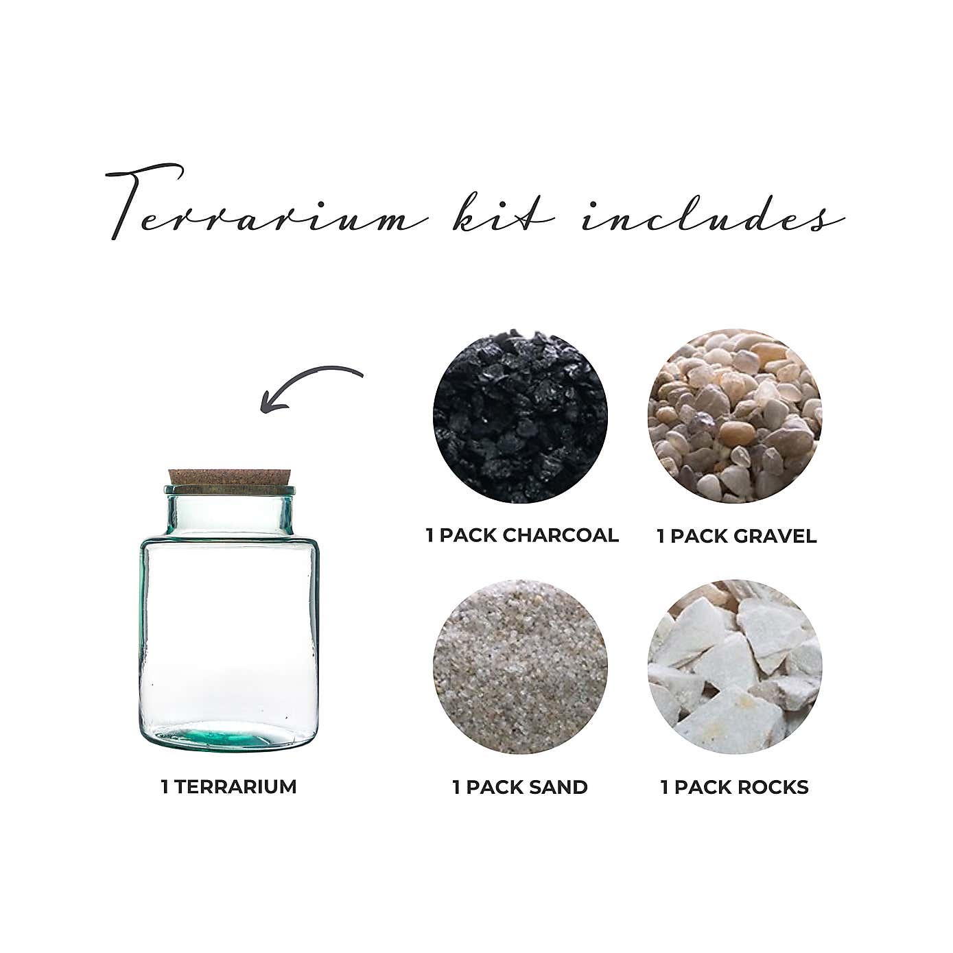Bottle Shape Large Terrarium DIY Kit