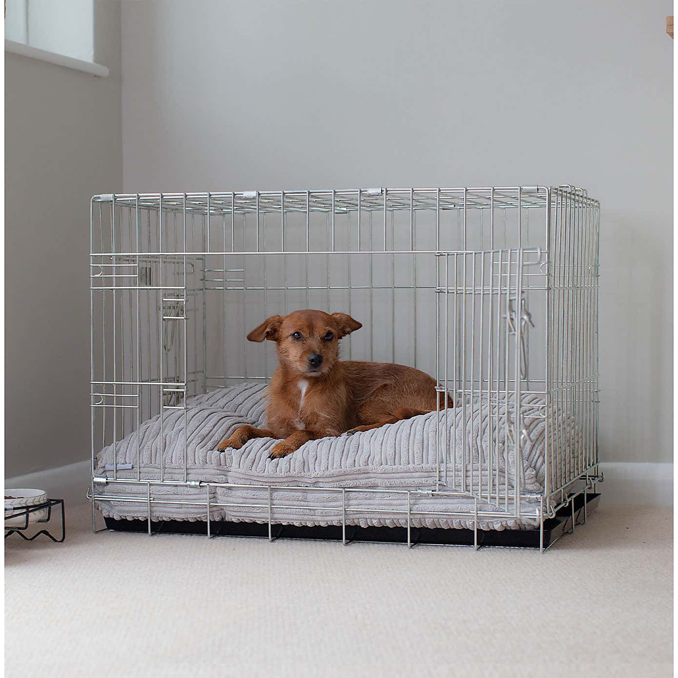 Lords and Labradors Dog Cushion