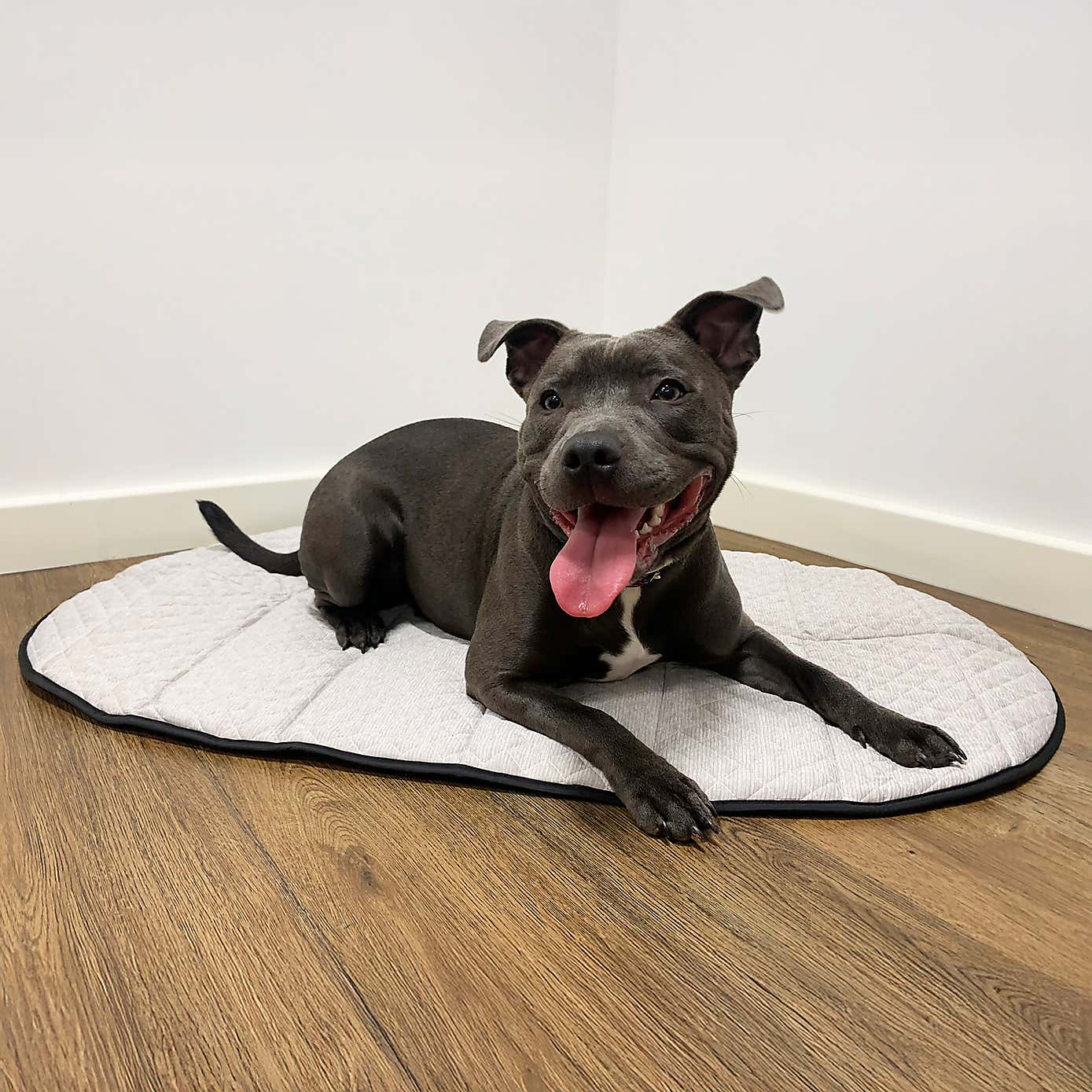 Rosewood Warming and Cooling Pet Mattress