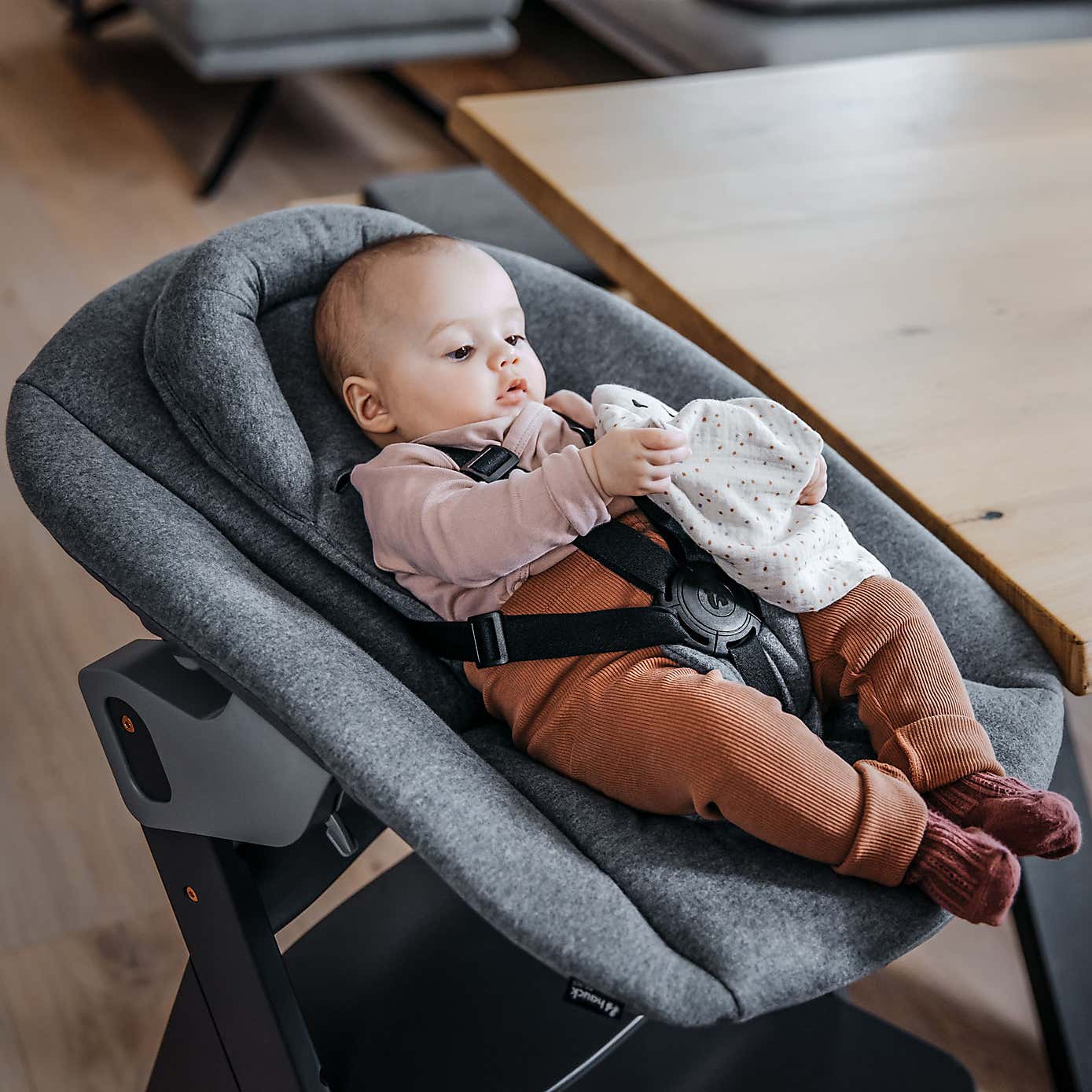 Hauck Alpha Premium Bouncer