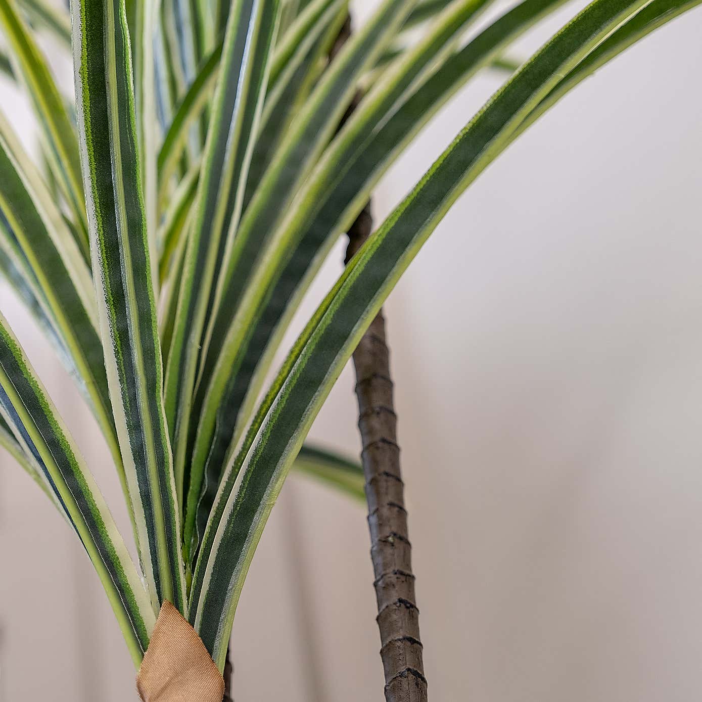 Artificial Real Touch Variegated Yucca in Black Plant Pot