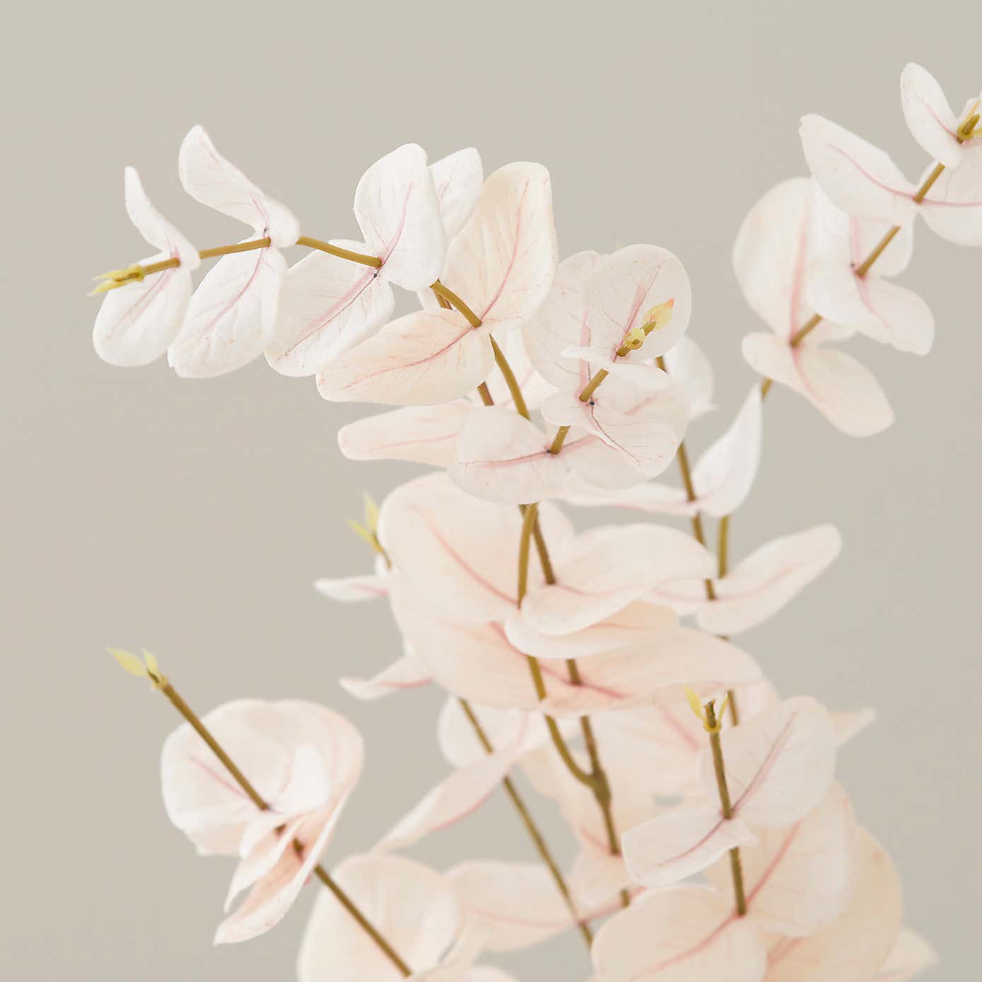 Artificial Cream Eucalyptus