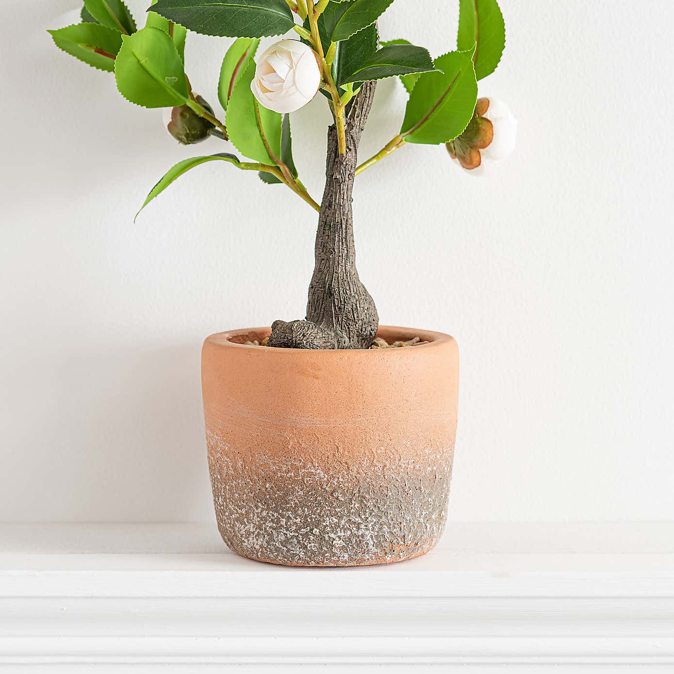Artificial Camellia Tree in Terracotta Plant Pot