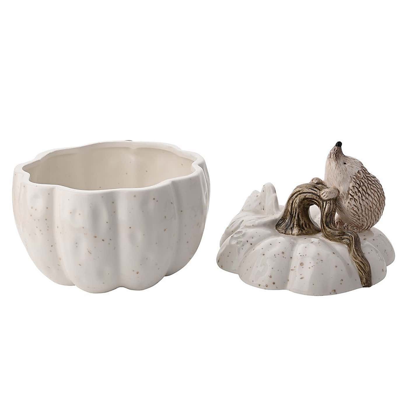 Country Living Ceramic Hedgehog Storage Pot