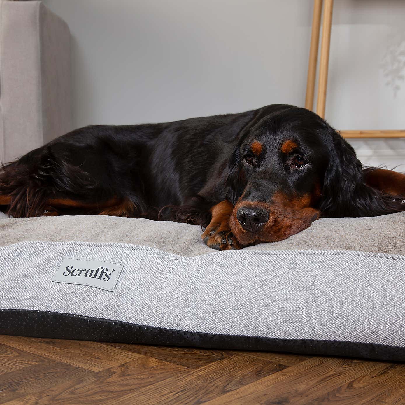 Scruffs Harvard Memory Foam Orthopaedic Mattress