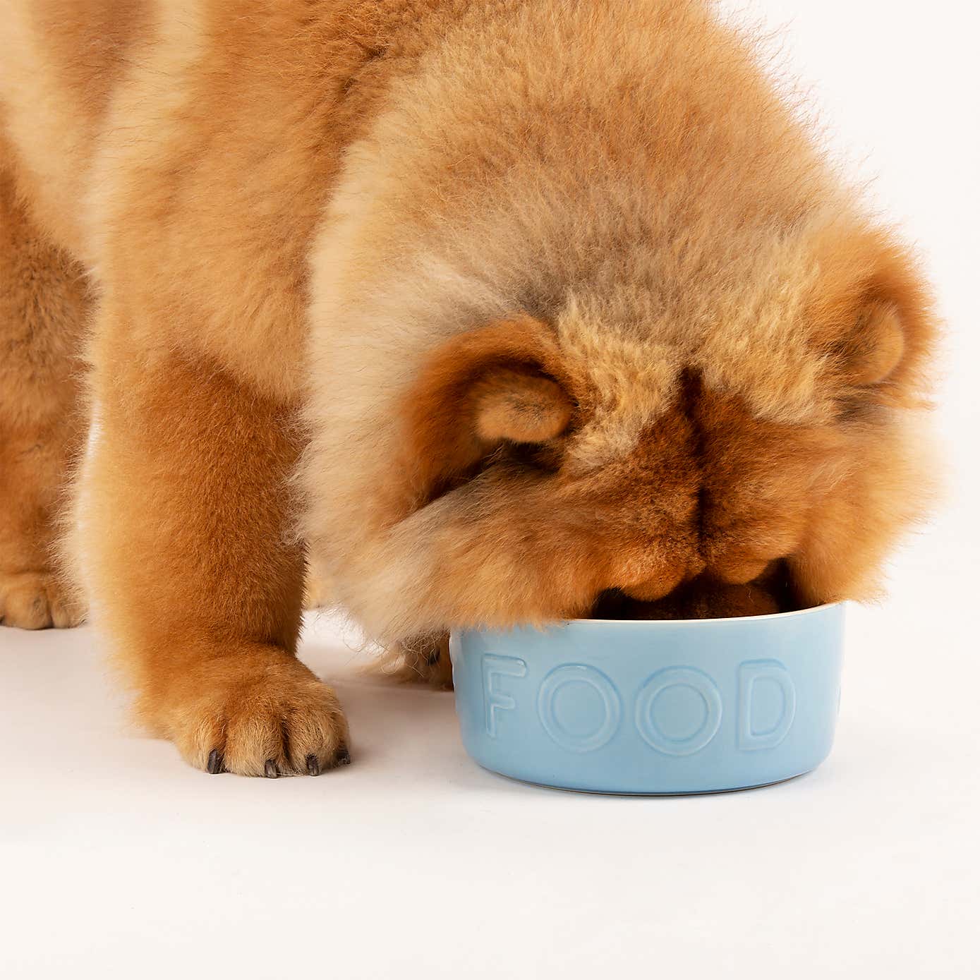 Scruffs Set of 2 Large Classic Dog Bowls