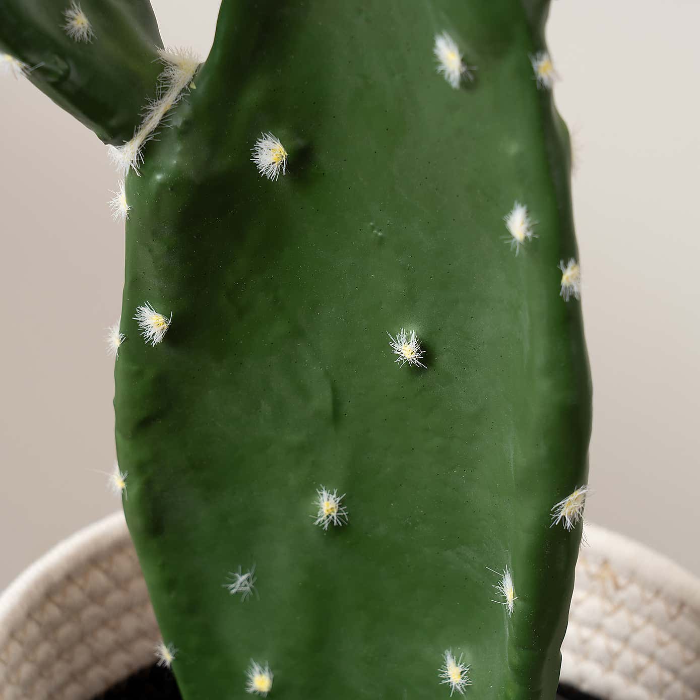 Artificial Prickly Pear in Black Plastic Plant Pot