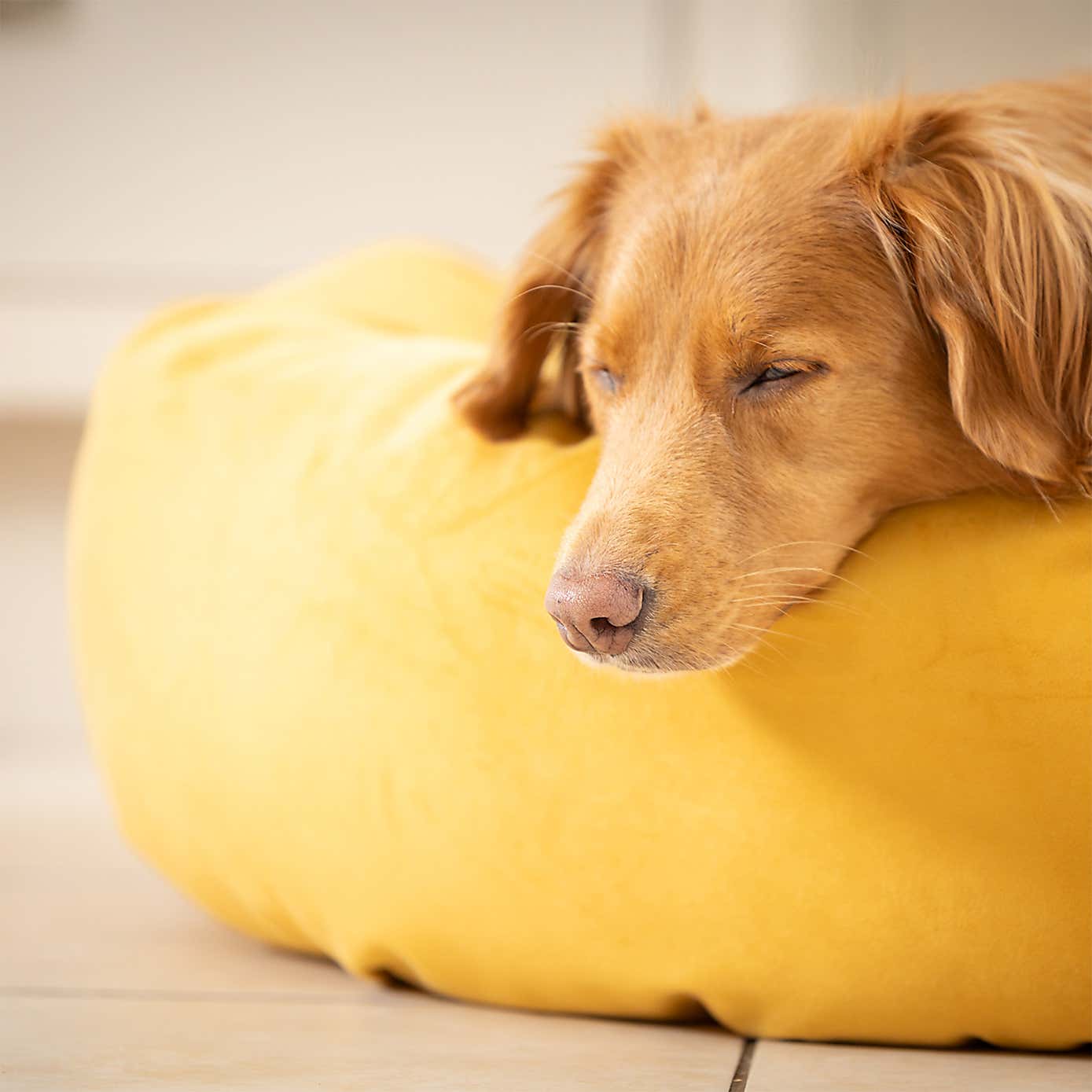 Lords and Labradors Velvet Donut Dog Bed