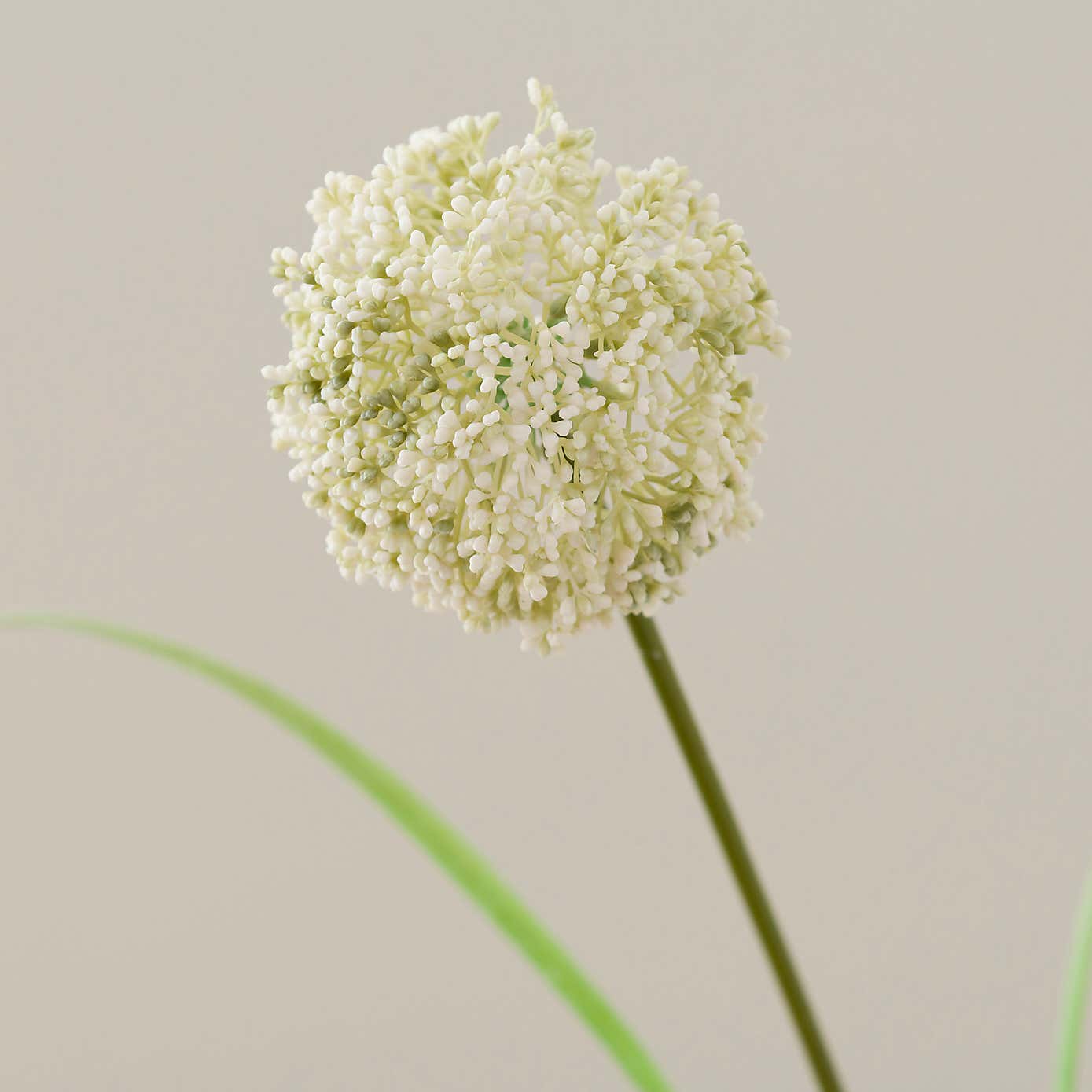 Artificial White Allium Stem