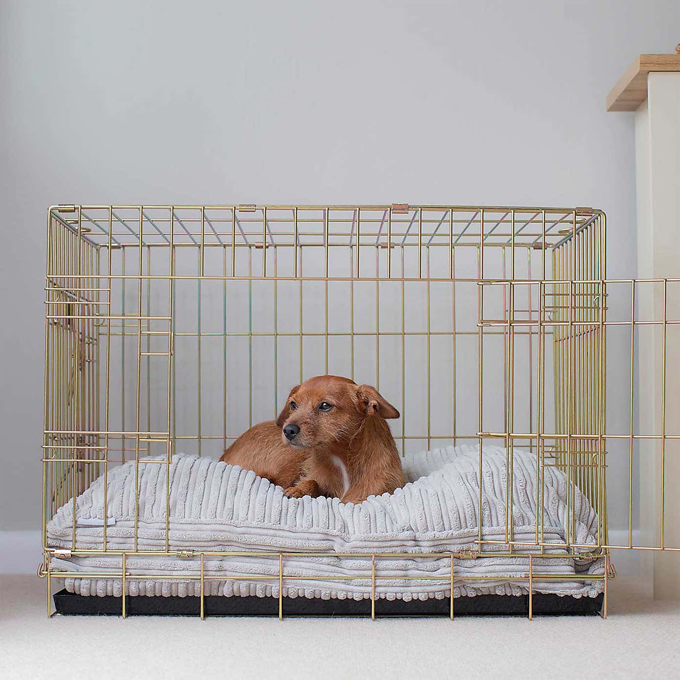 Lords and Labradors Dog Cushion