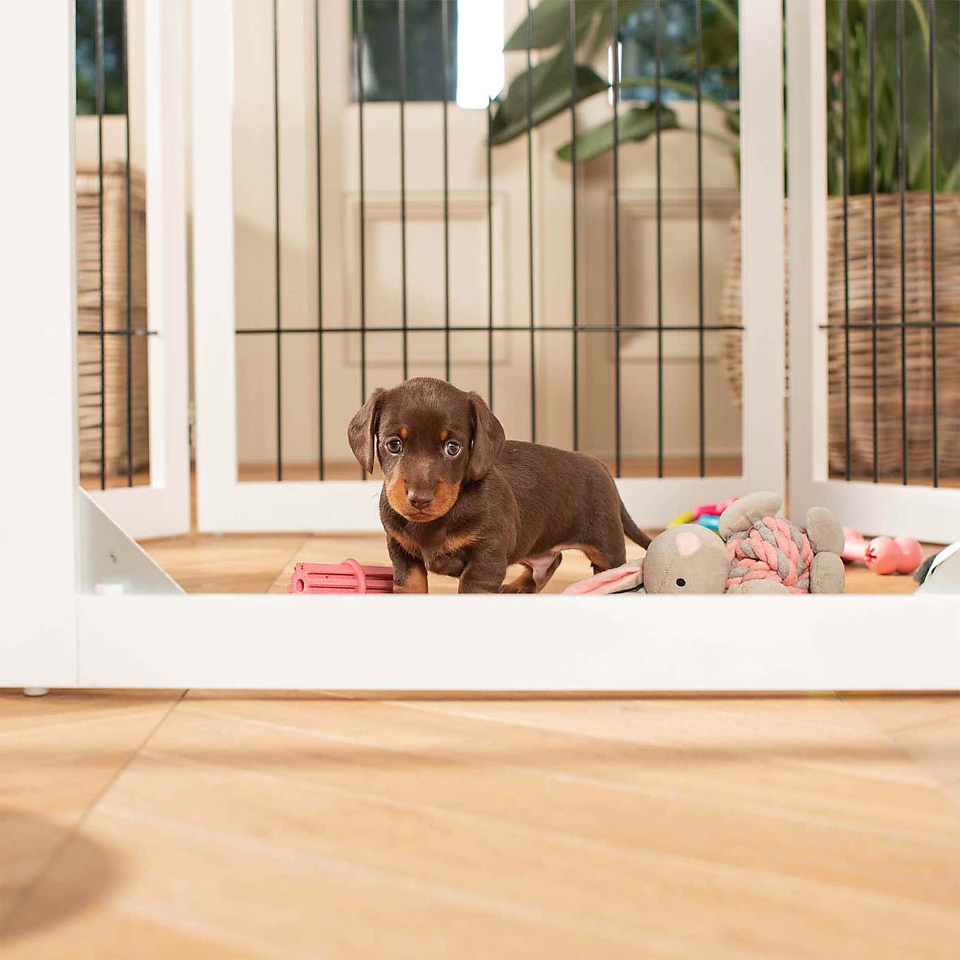 Lords and Labradors Wooden Puppy Play Pen