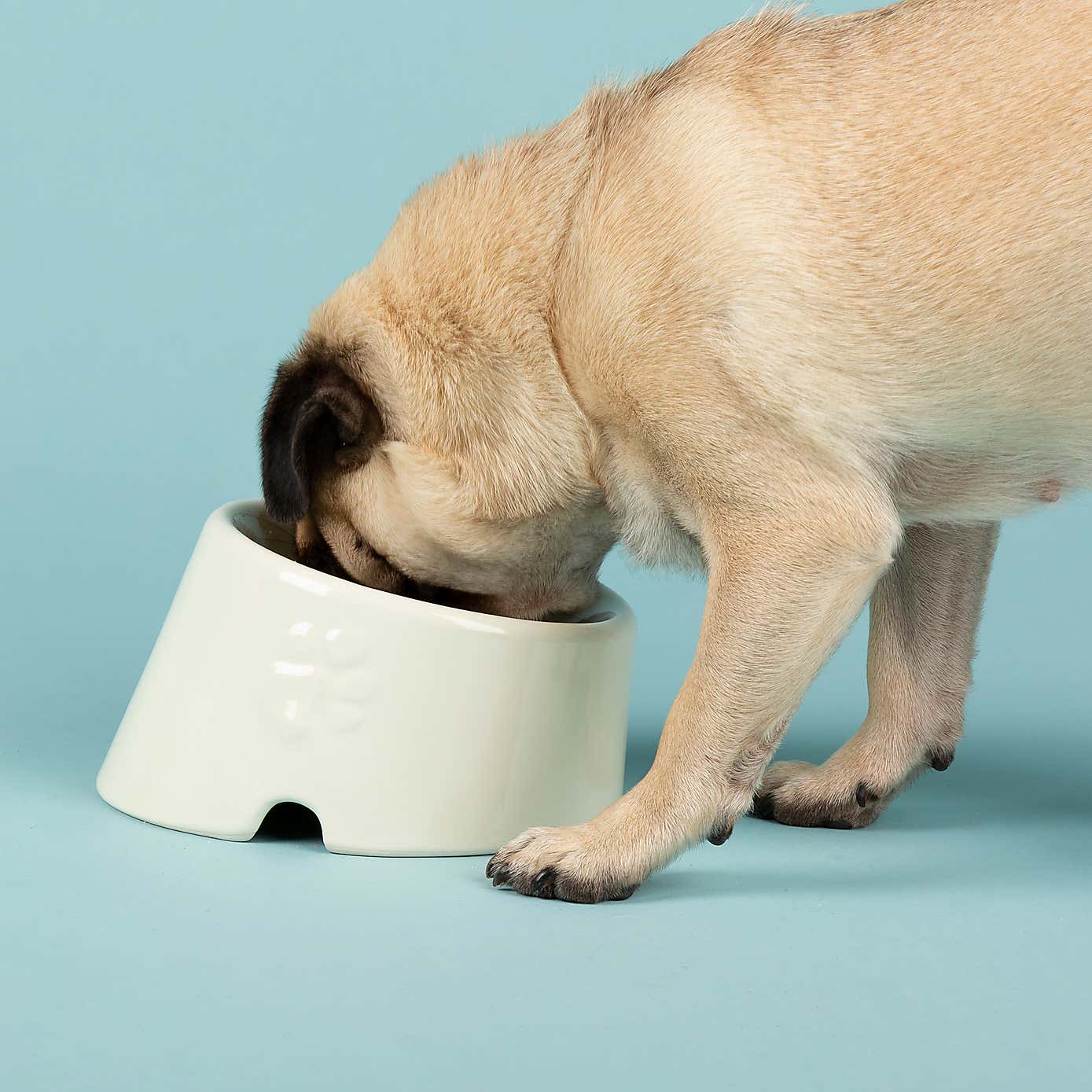 Scruffs Set of 2 Flat Faced Dog Bowls