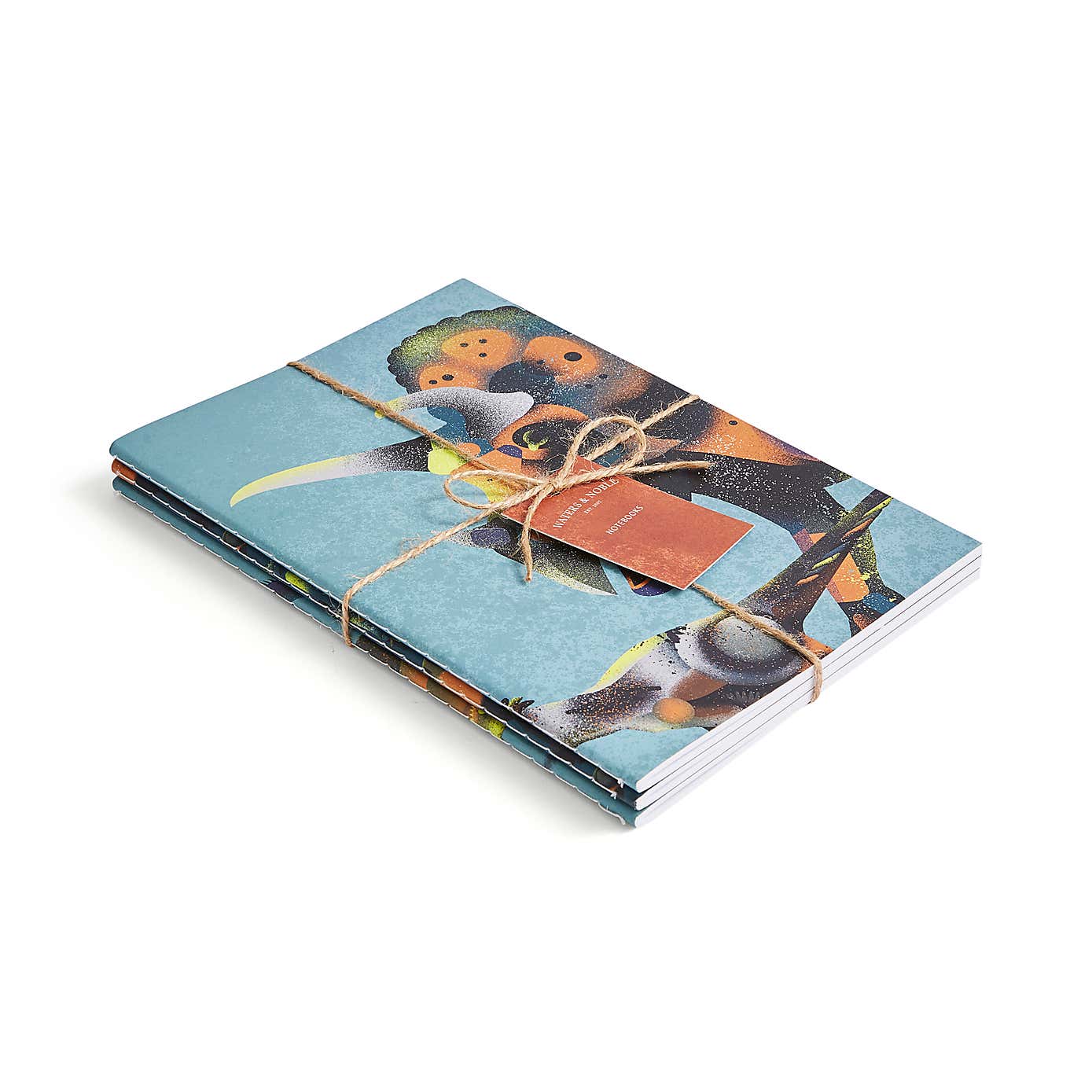 Set of 3 Age of Dinosaurs Softcover Notebooks