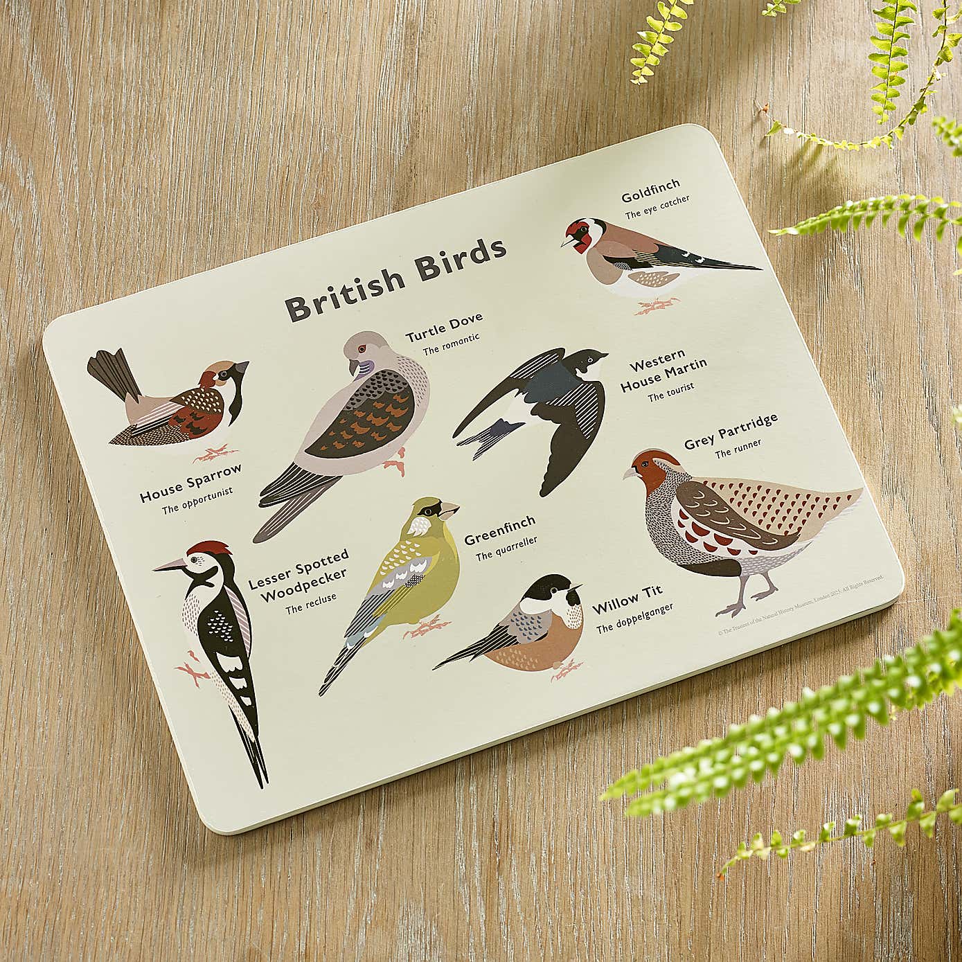 Set of 4 Birds Placemats