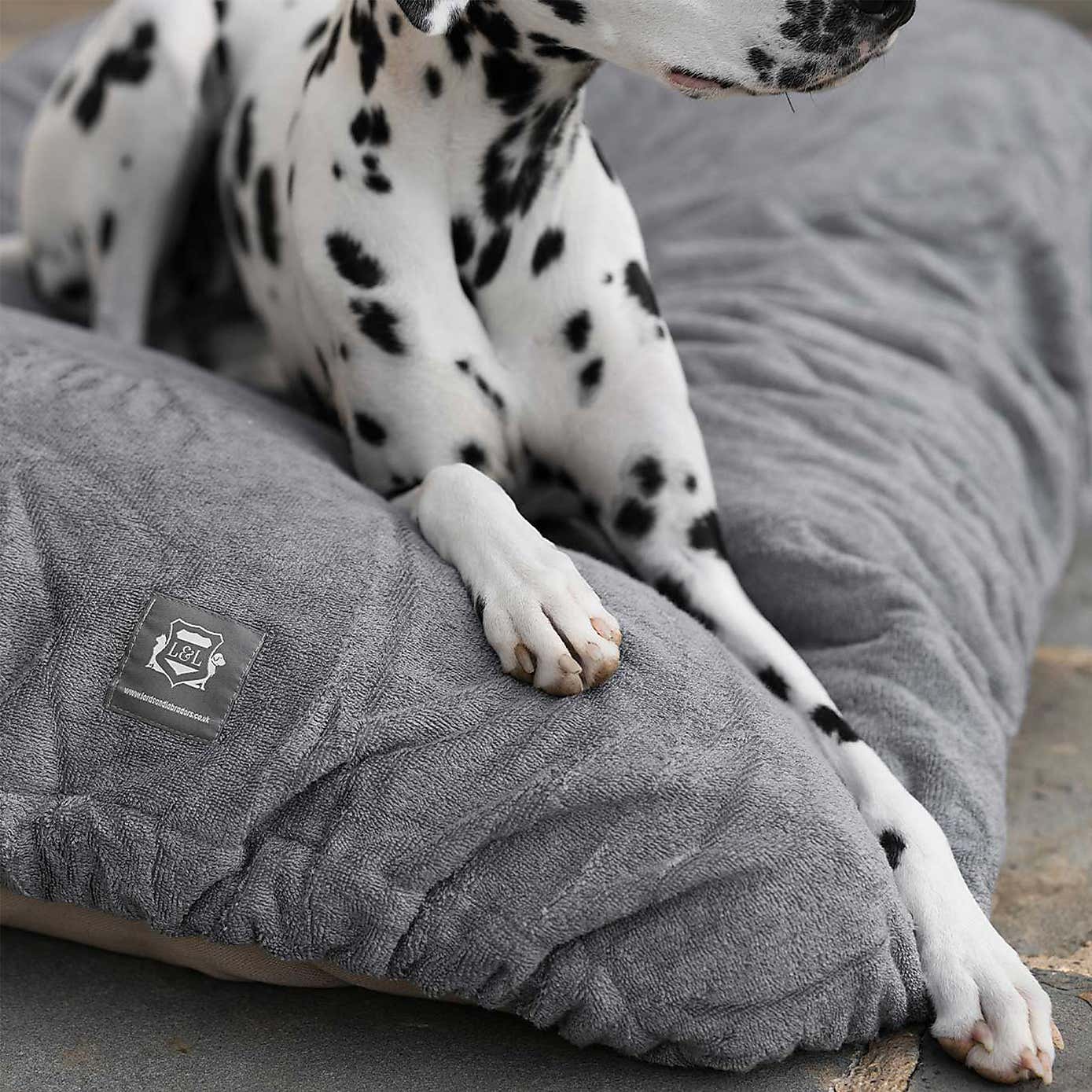 Lords and Labradors Bamboo Dog Drying Cushion Cover