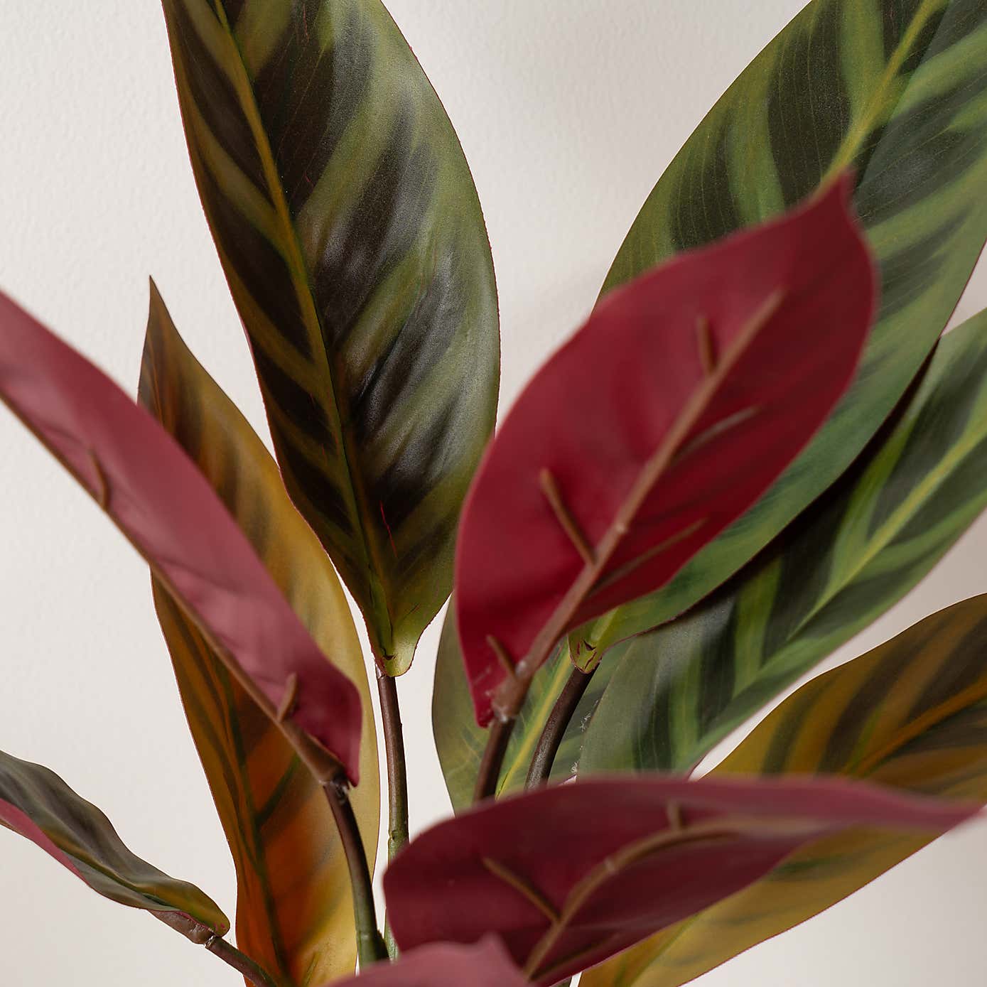 Artificial Maranta in White Ceramic Plant Pot