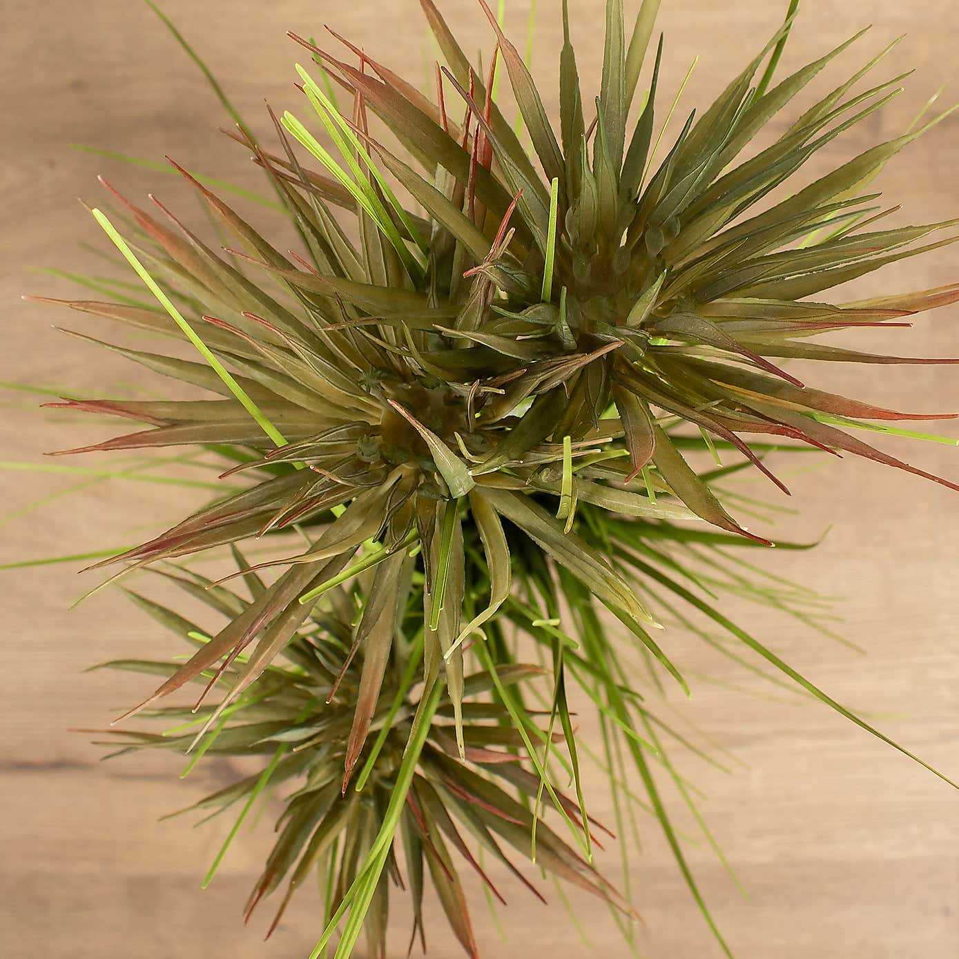 Artificial Papyrus Plant in Black Plastic Plant Pot