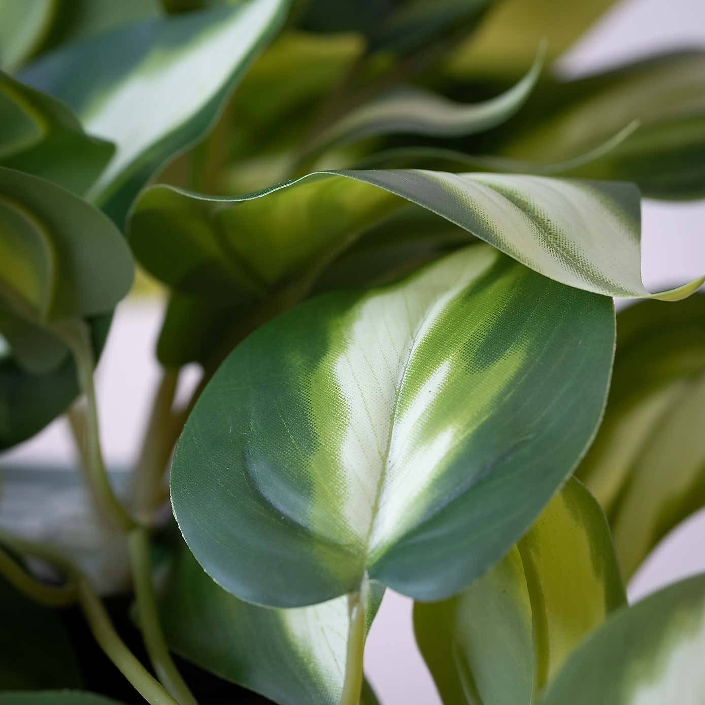 Artificial Real Touch Trailing Silver Vine in Black Plastic Plant Pot