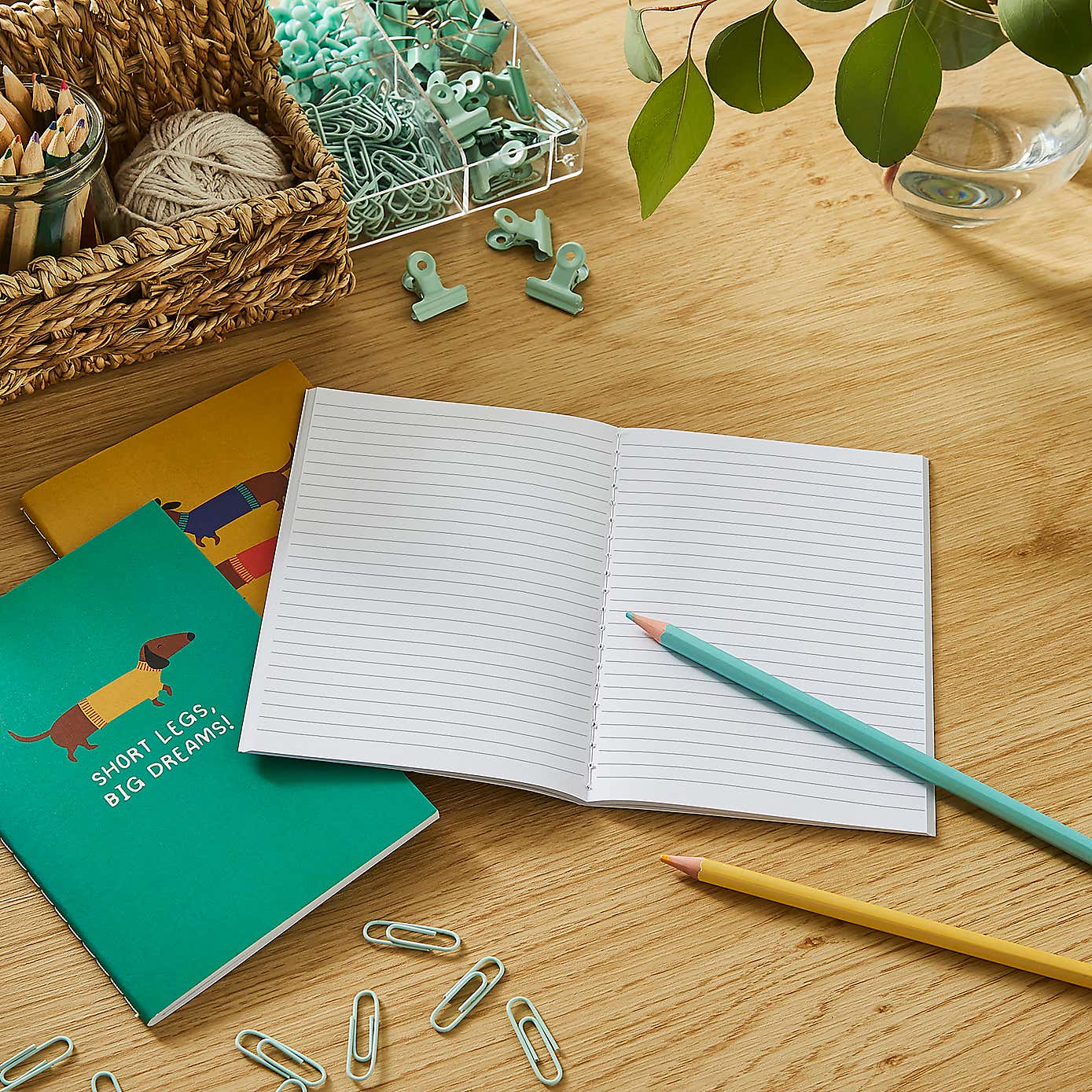 Waters & Noble Set of 3 Sausage Dog Softcover Notebooks