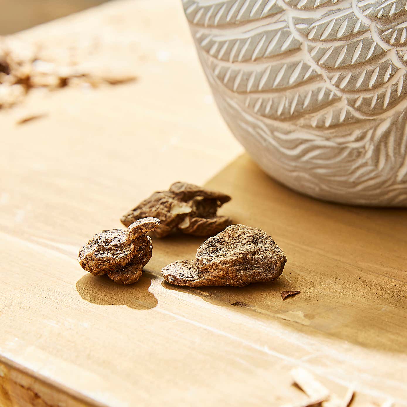 Taylor's Bulbs Stone Robin Planter and Anenone Kit