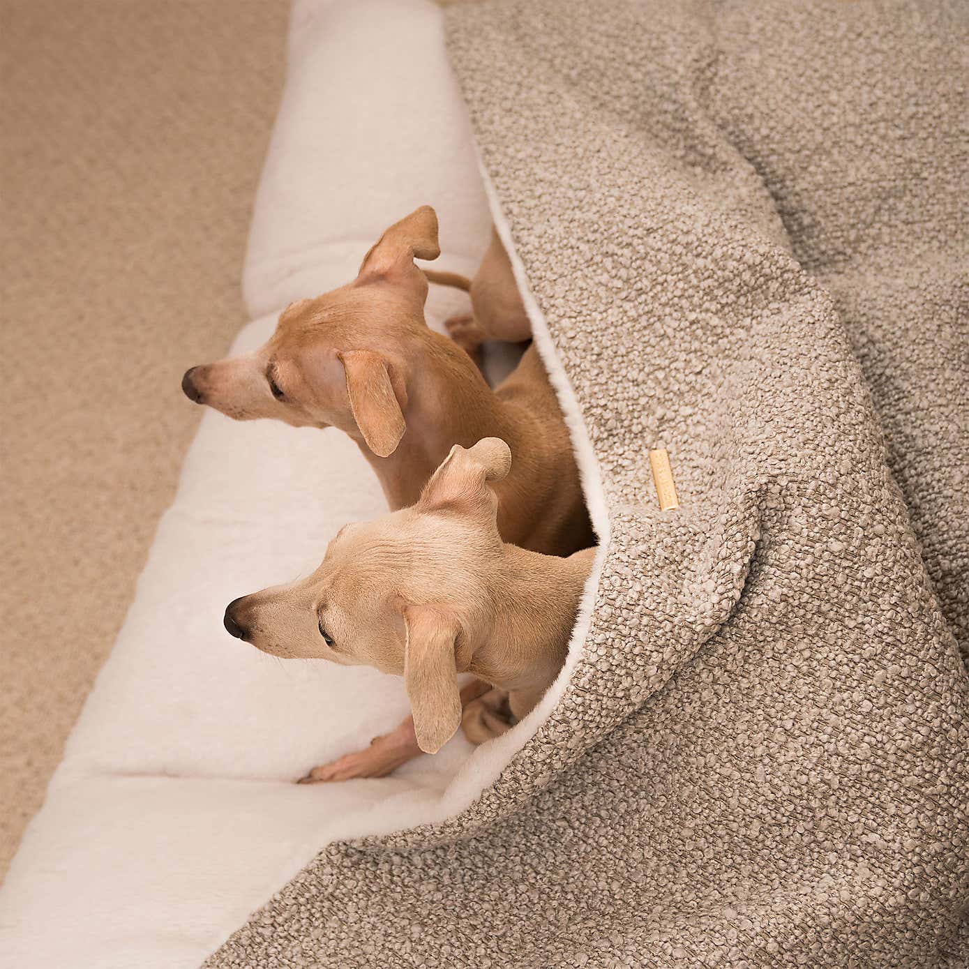 Lords and Labradors Boucle Sleepy Burrow Dog Bed