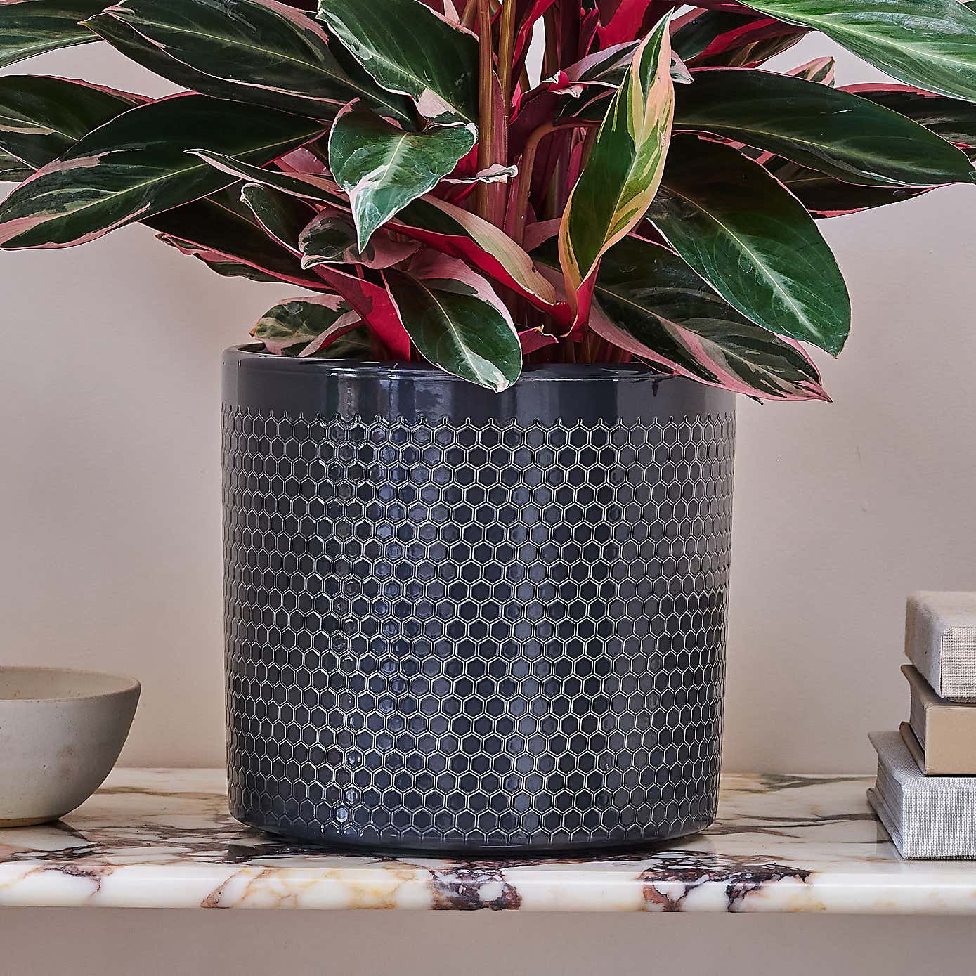 Beards and Daisies Capri Plant Pot