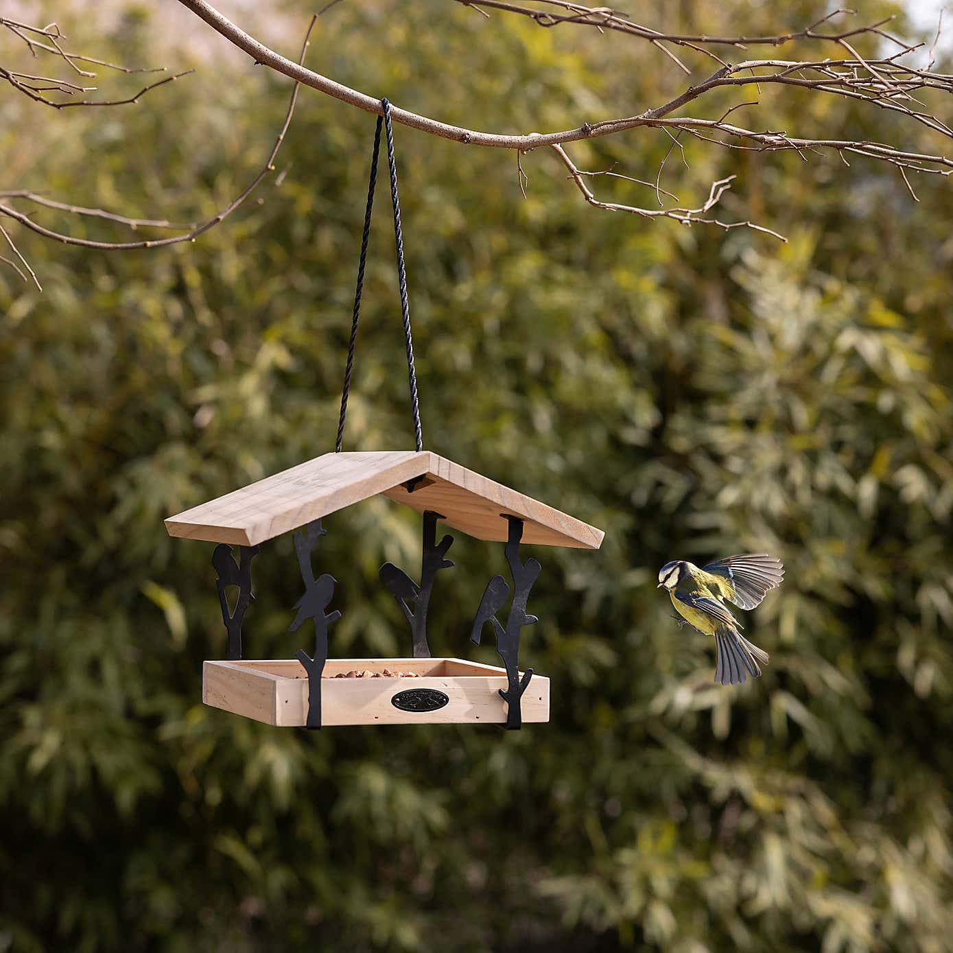 Fallen Fruits Chiffchaff Hanging Bird Table
