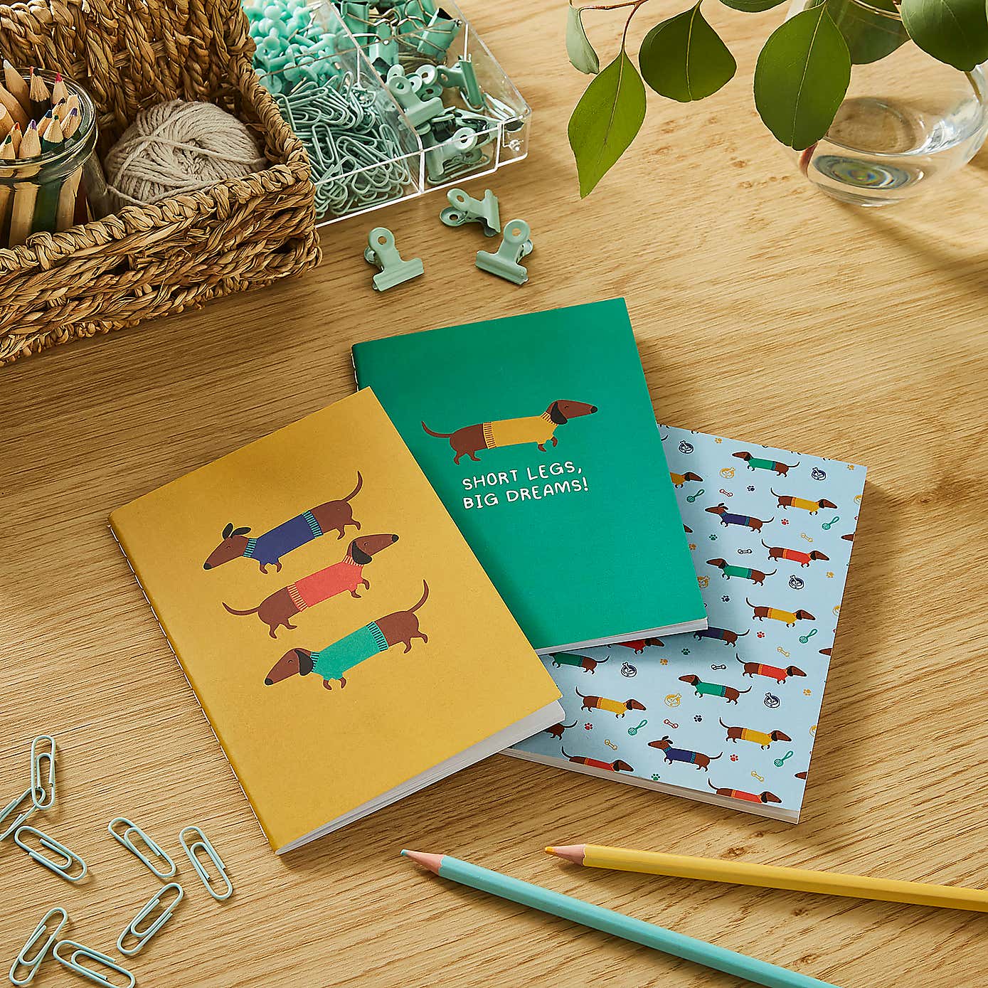 Waters & Noble Set of 3 Sausage Dog Softcover Notebooks
