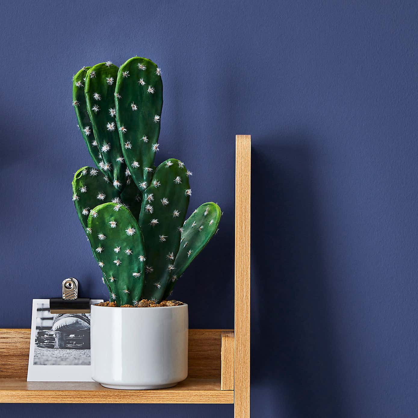 Dunelm Space Blue Matt Emulsion Paint