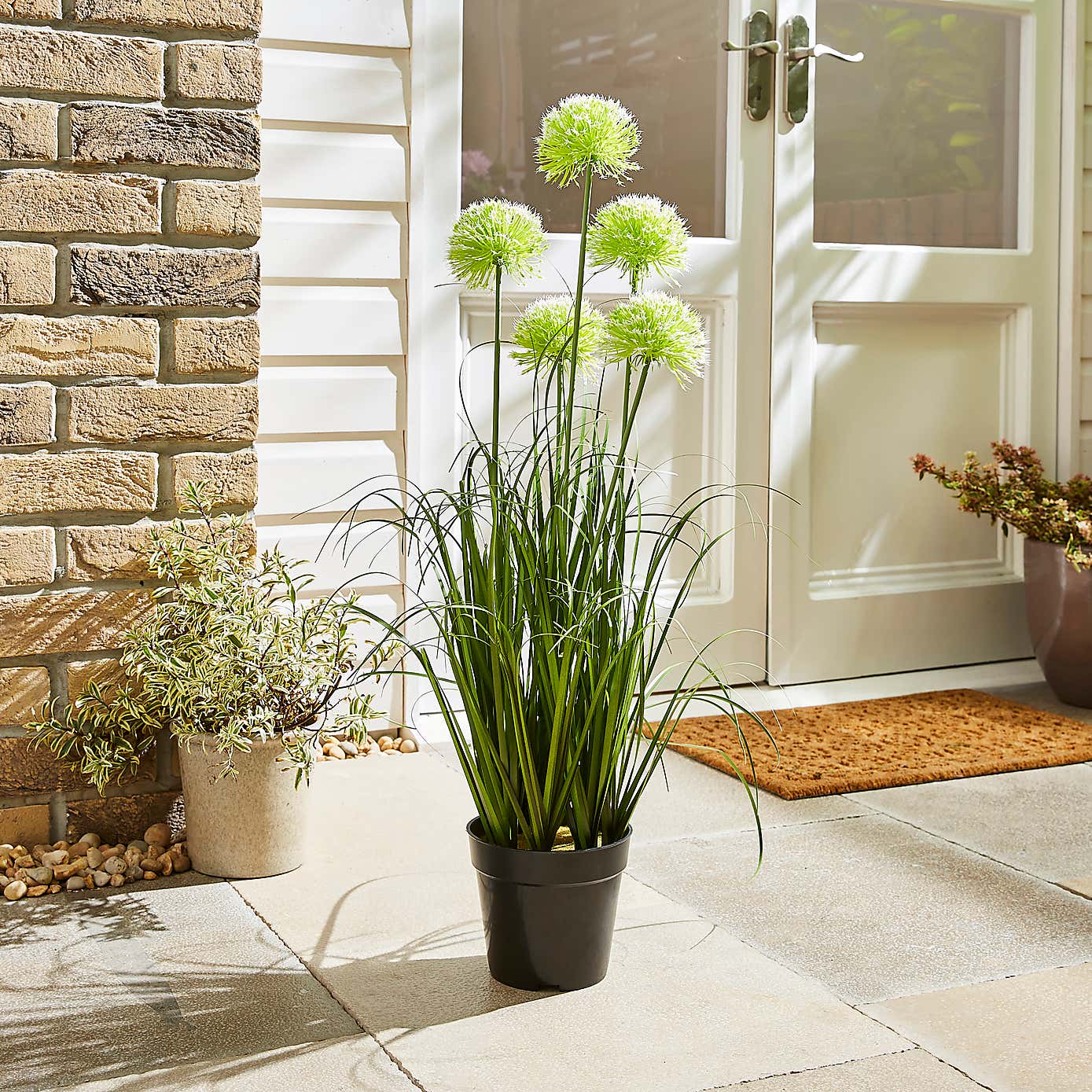 Artificial Allium Plant in Black Pot