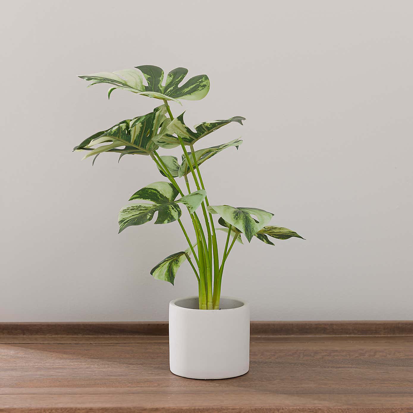 Artificial Cheese Plant in White Cement Plant Pot