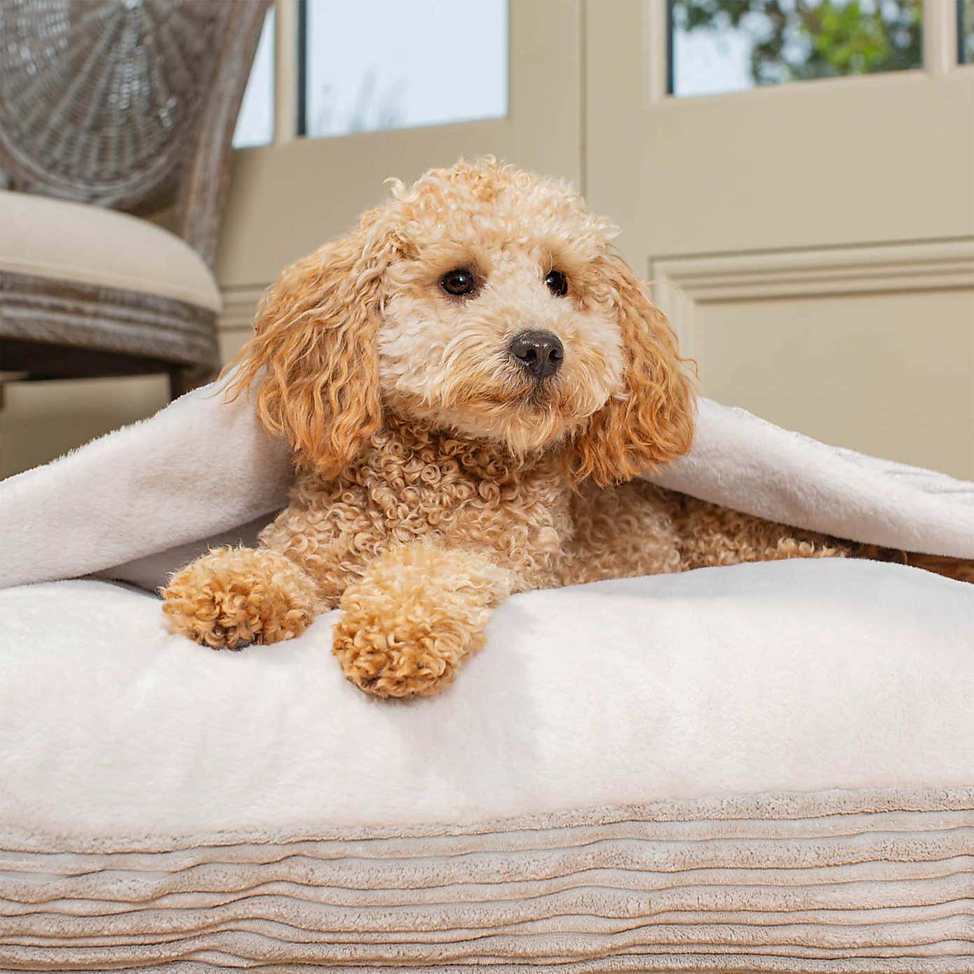 Lords and Labradors Essentials Sleepy Burrow Dog Bed