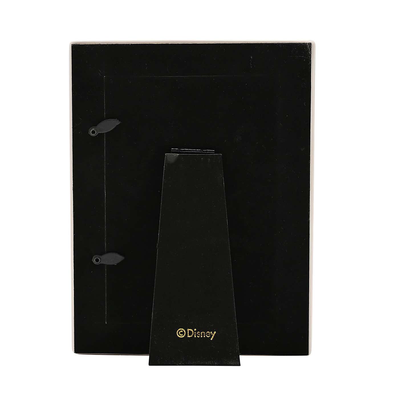 Disney Alice in Wonderland Photo Frame