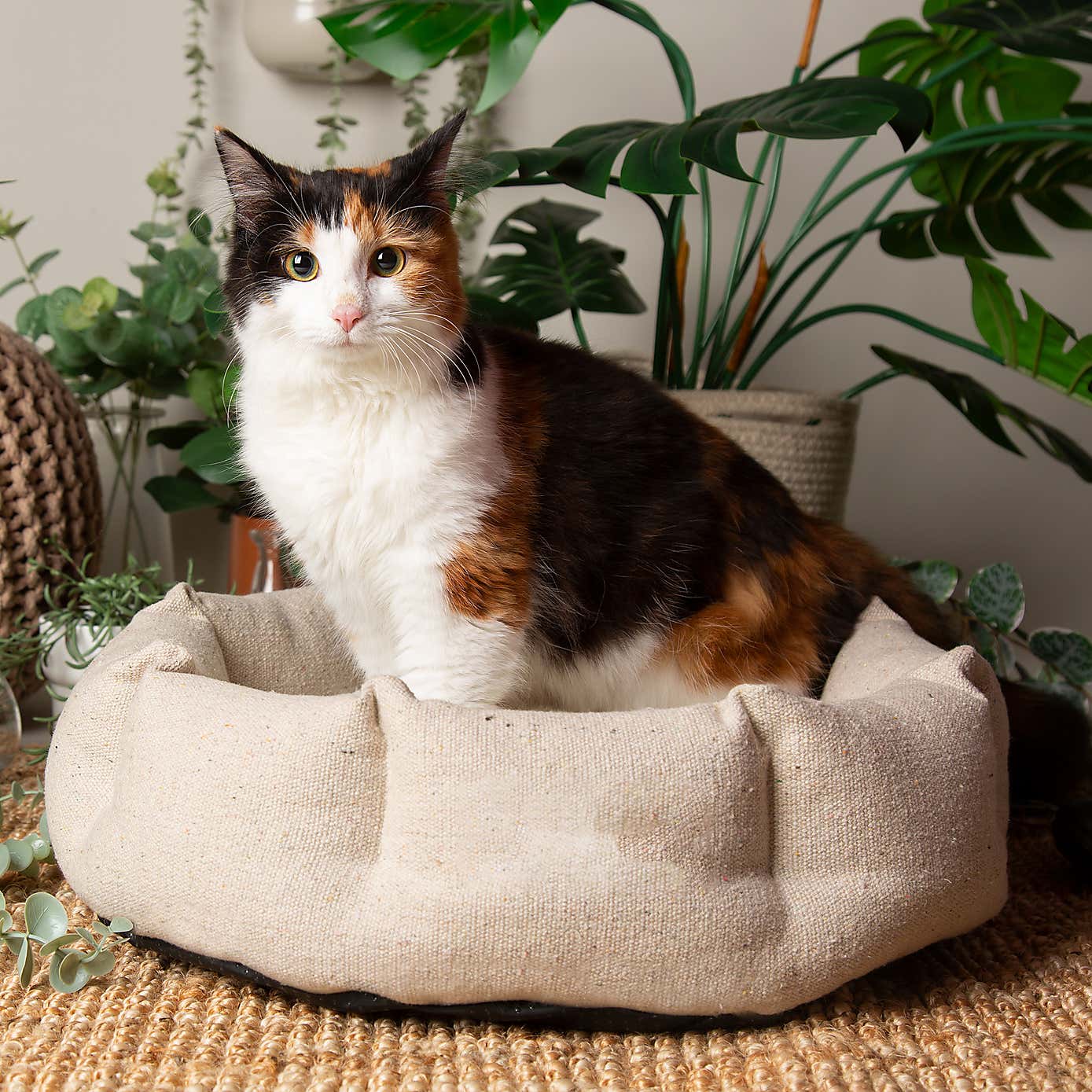 Scruffs 100% Recycled Eden Cat Small Dog Bed
