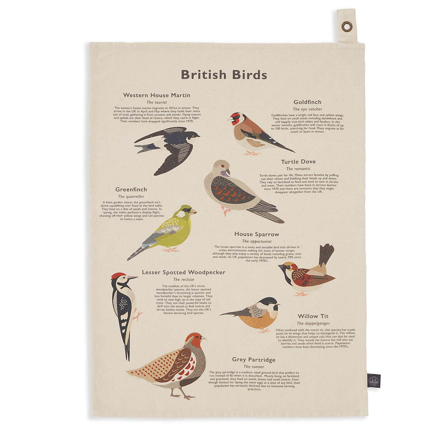 NHM Birds Single Tea Towel