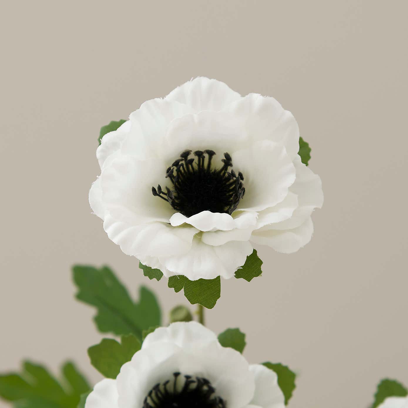 Artificial White Anemone Stem