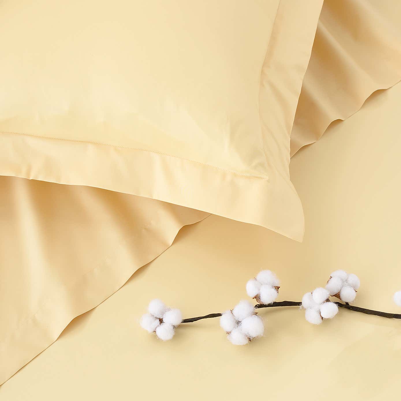 Dorma 300 Thread Count 100% Cotton Sateen Plain Continental Square Pillowcase