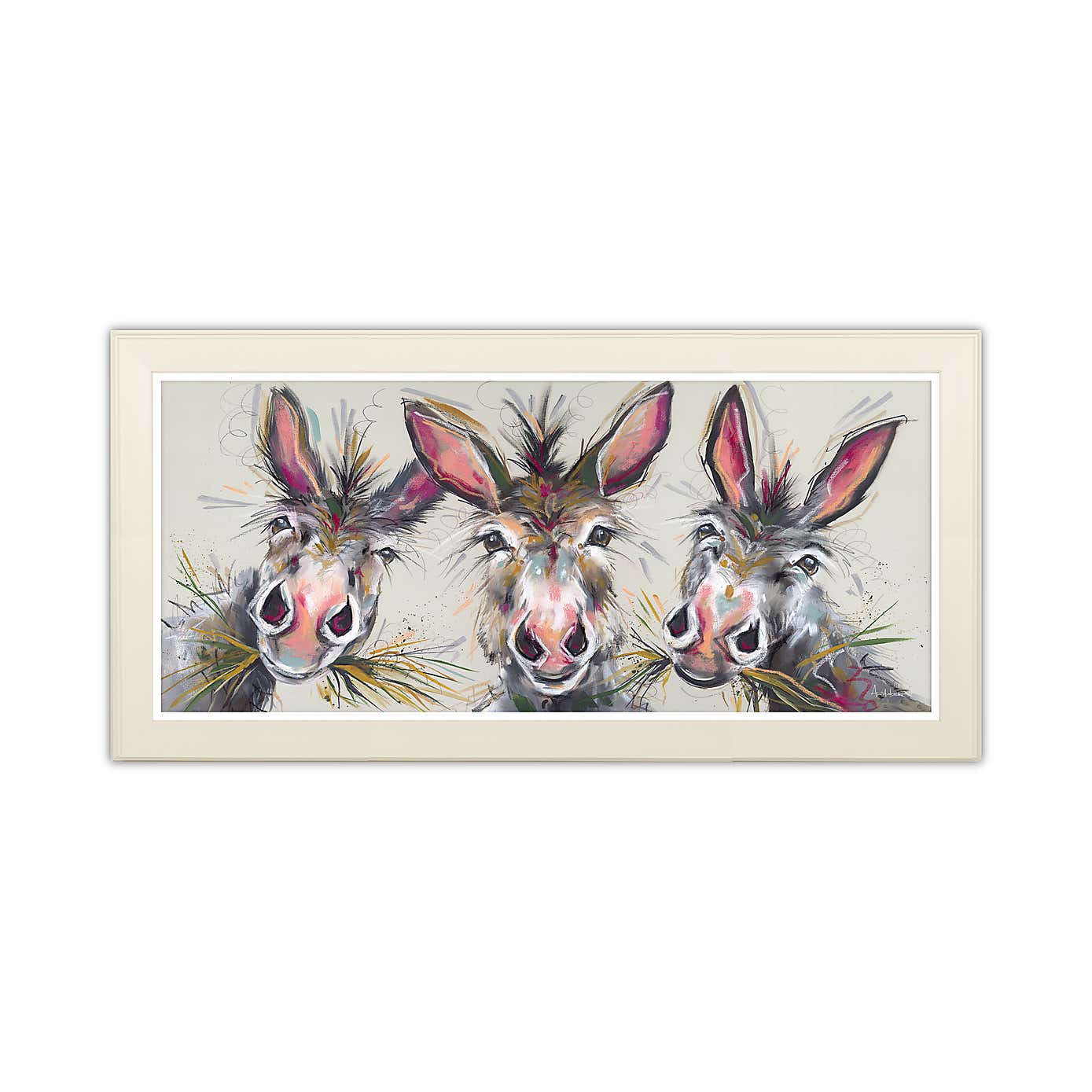 Donkey Trio Framed Print