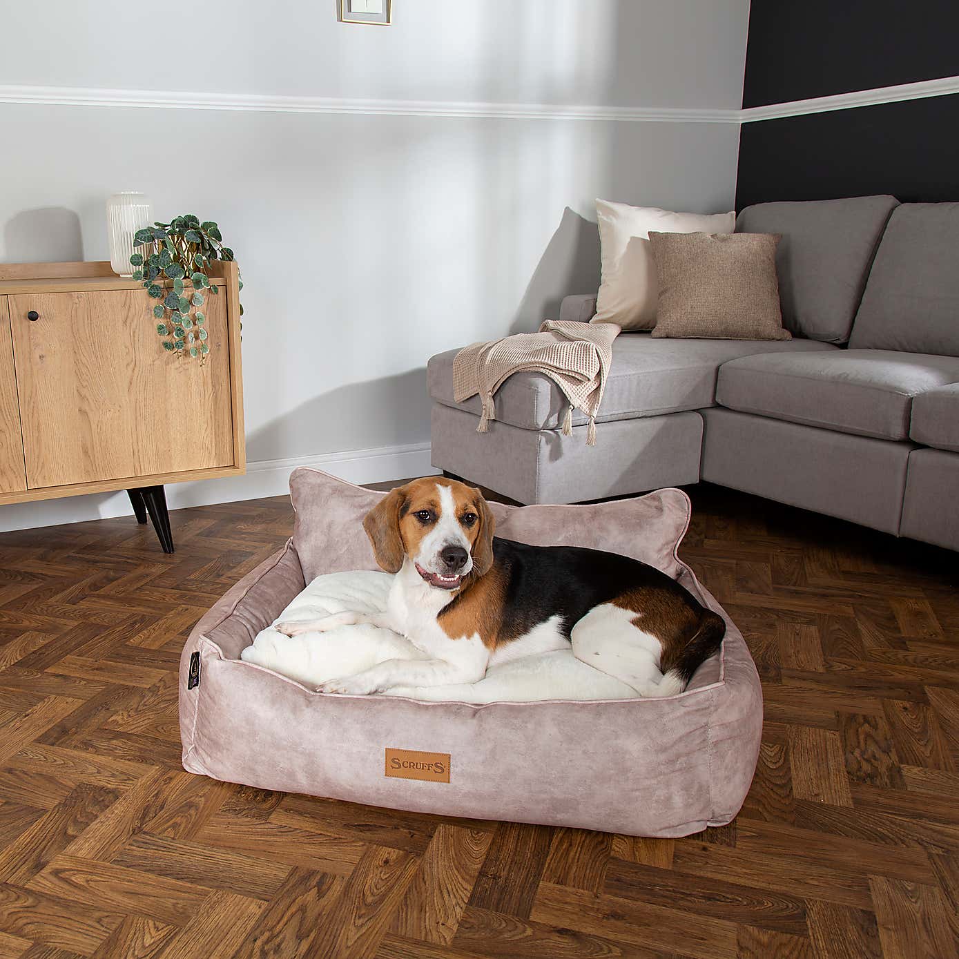 Scruffs Pet Kensington Box Bed