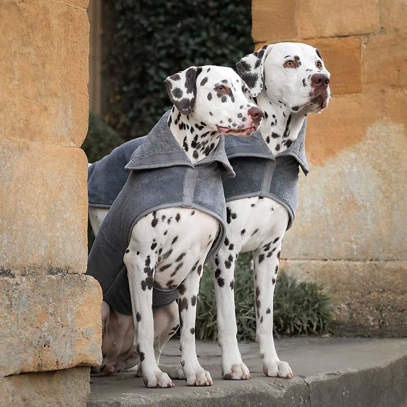 Lords and Labradors Bamboo Dog Drying Coat